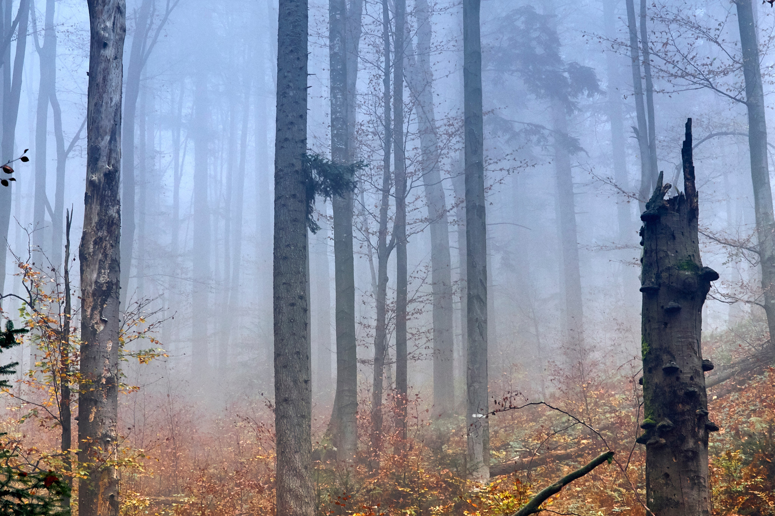 Бещады — здесь остановилось время. Андрей Шипилов — Фотография & Видеография