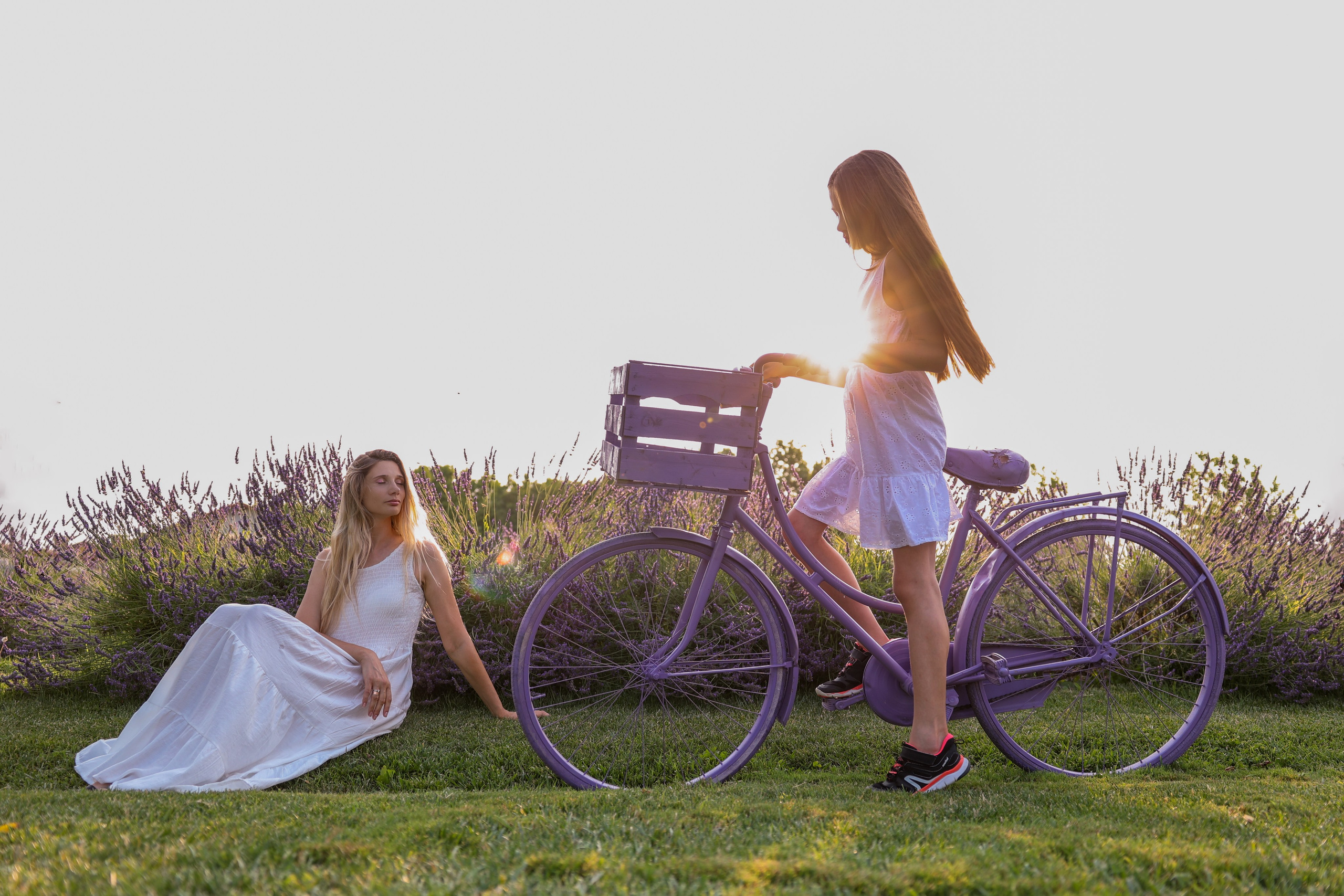 Lavanda. Fotografo Videomaker Drone Padova Venice Italy Elena Radchenko