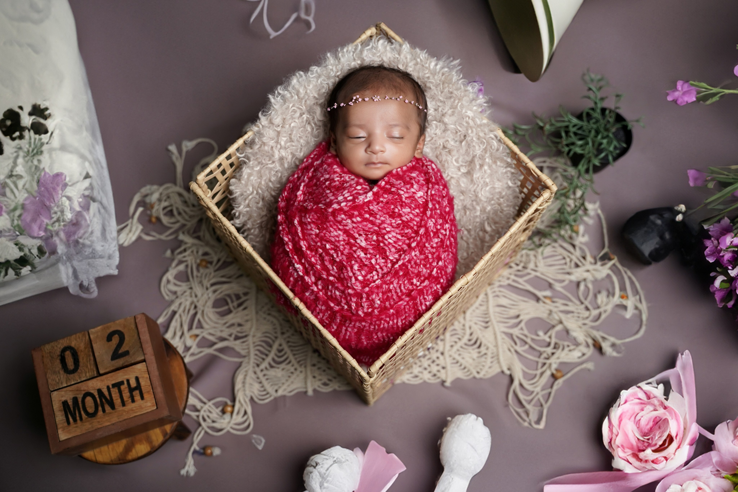 New born. TNF photo & filming