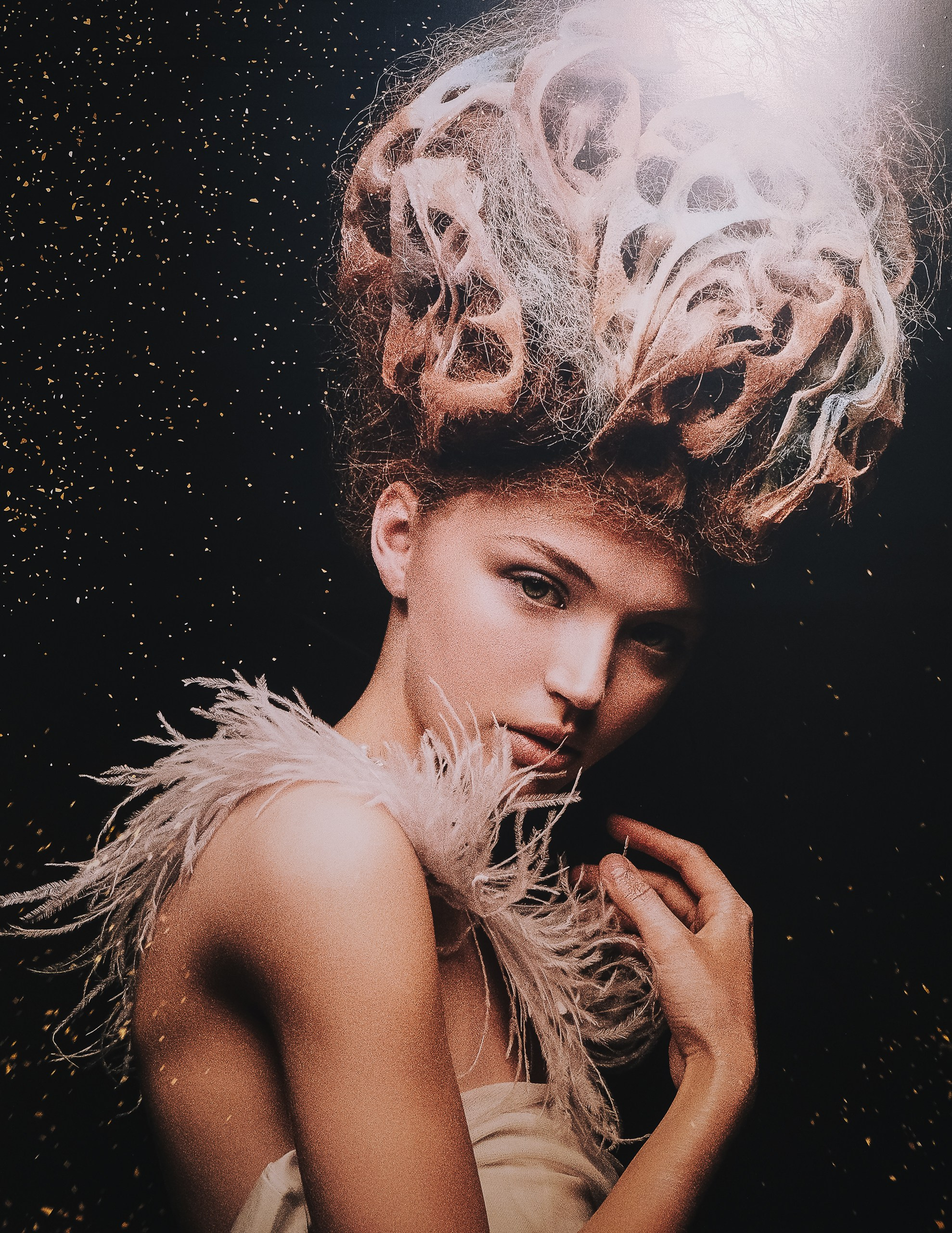 Hair Exhibition 2019