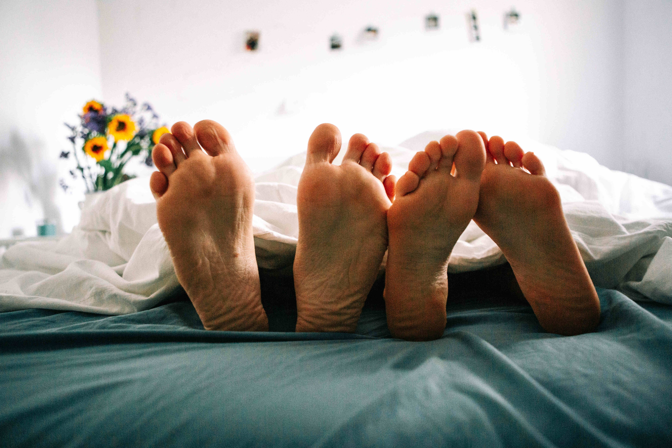 SWEET MORNING. PHOTOGRAPHER IN ISRAEL