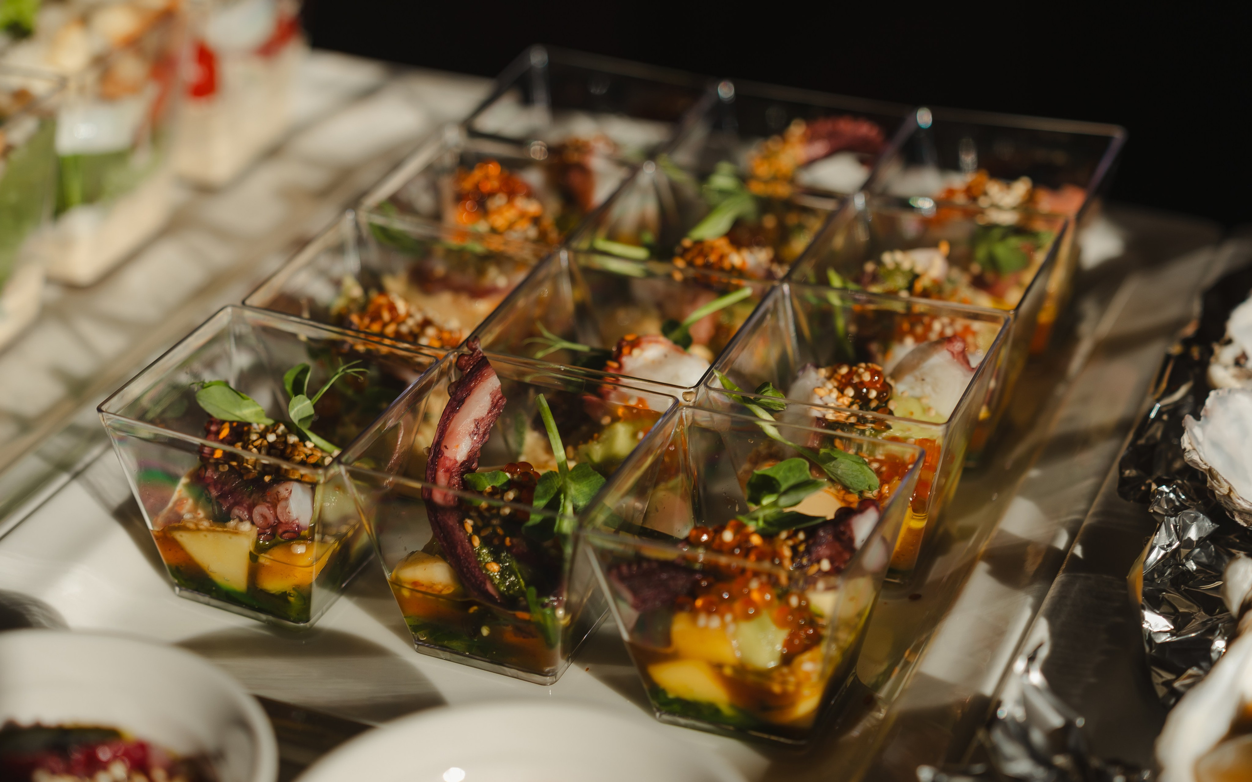 RESTAURANT. Montenegro photographer and videographer