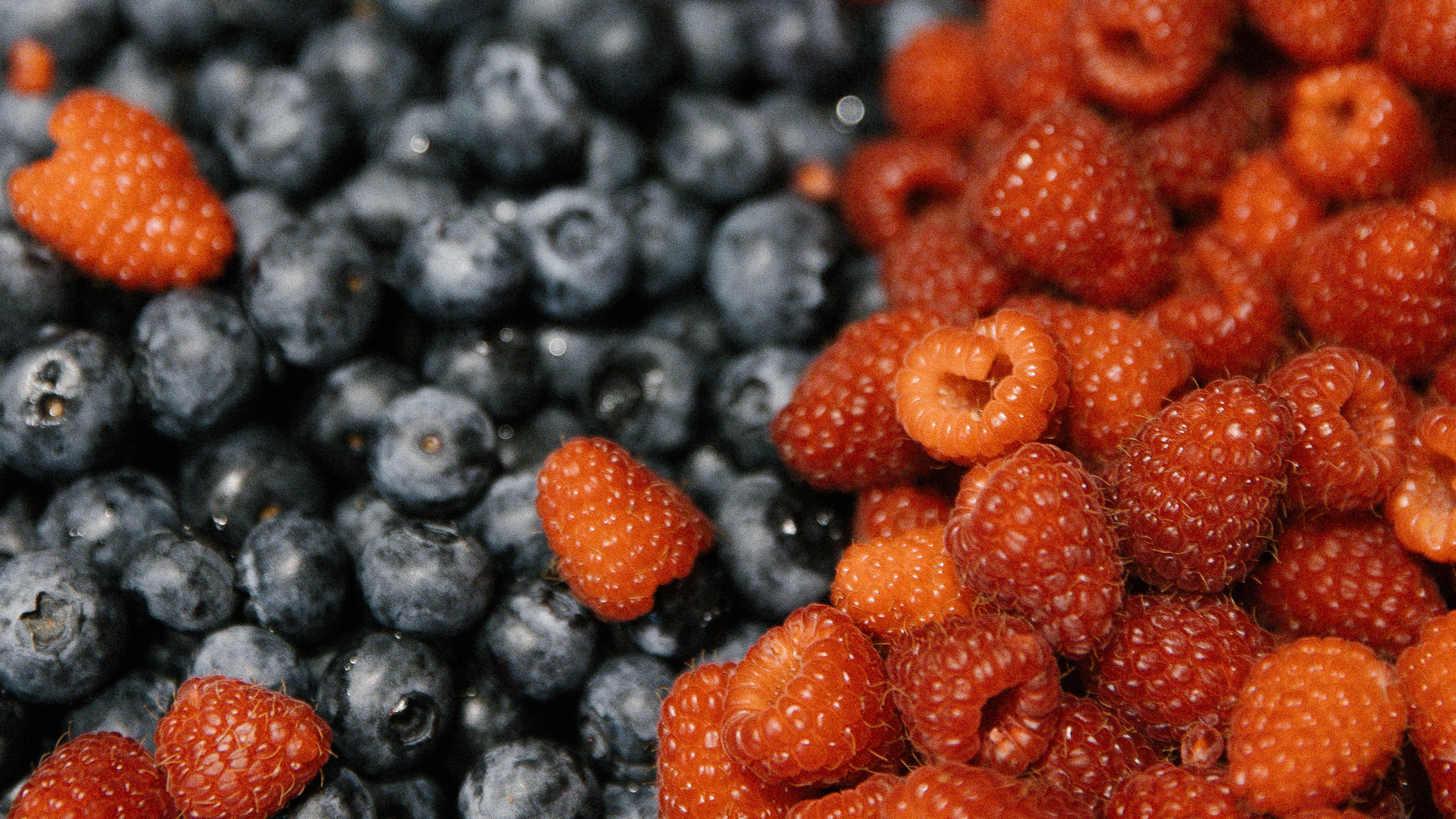 Wedding-love story. Family photographer Oregon — Washington