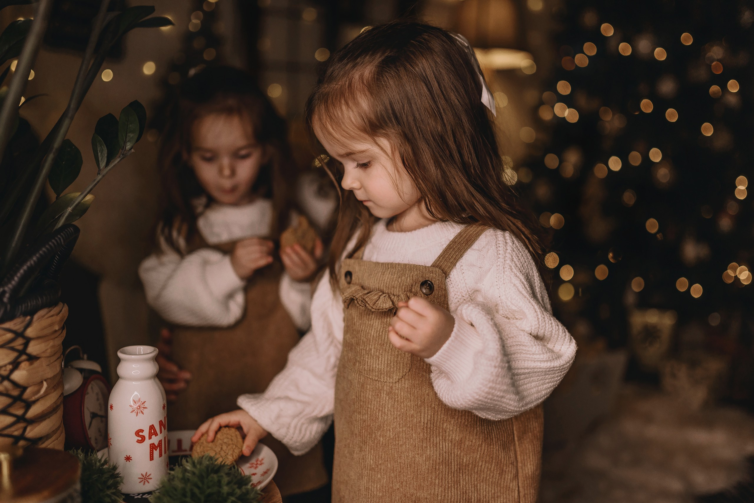 11.26.2025 Christmas Photoshoot. Wedding family event photographer in Chicago Nick Yushevich