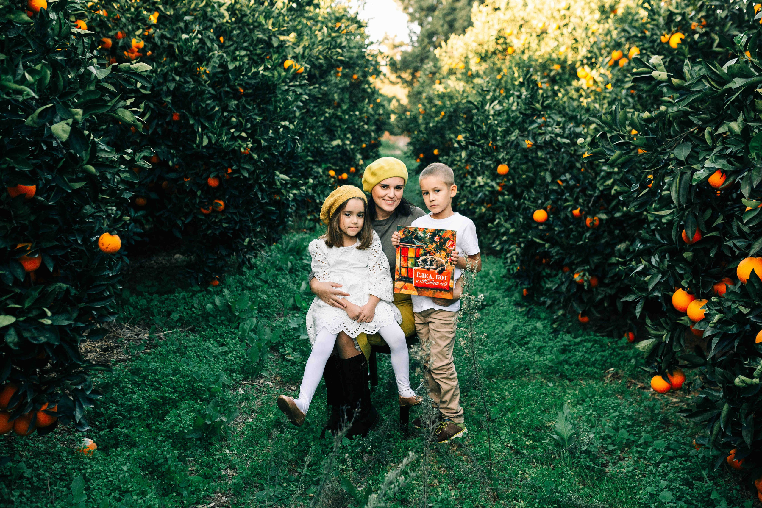 MANDARNINE GARDEN. Https://shi-photo.com/