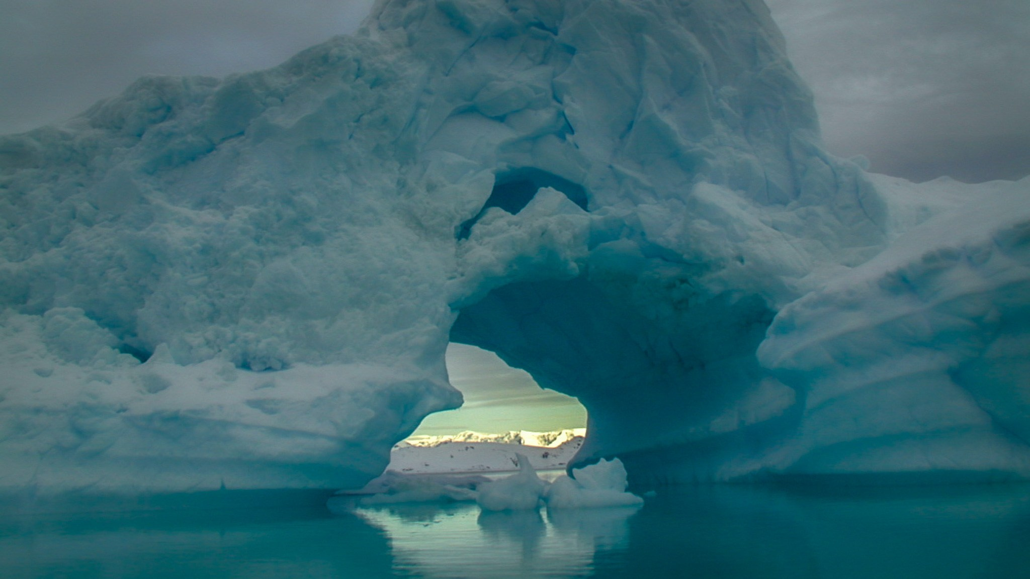 ANTARCTICA / 2004. Reportage concert portrait photography in the San Francisco Bay Area