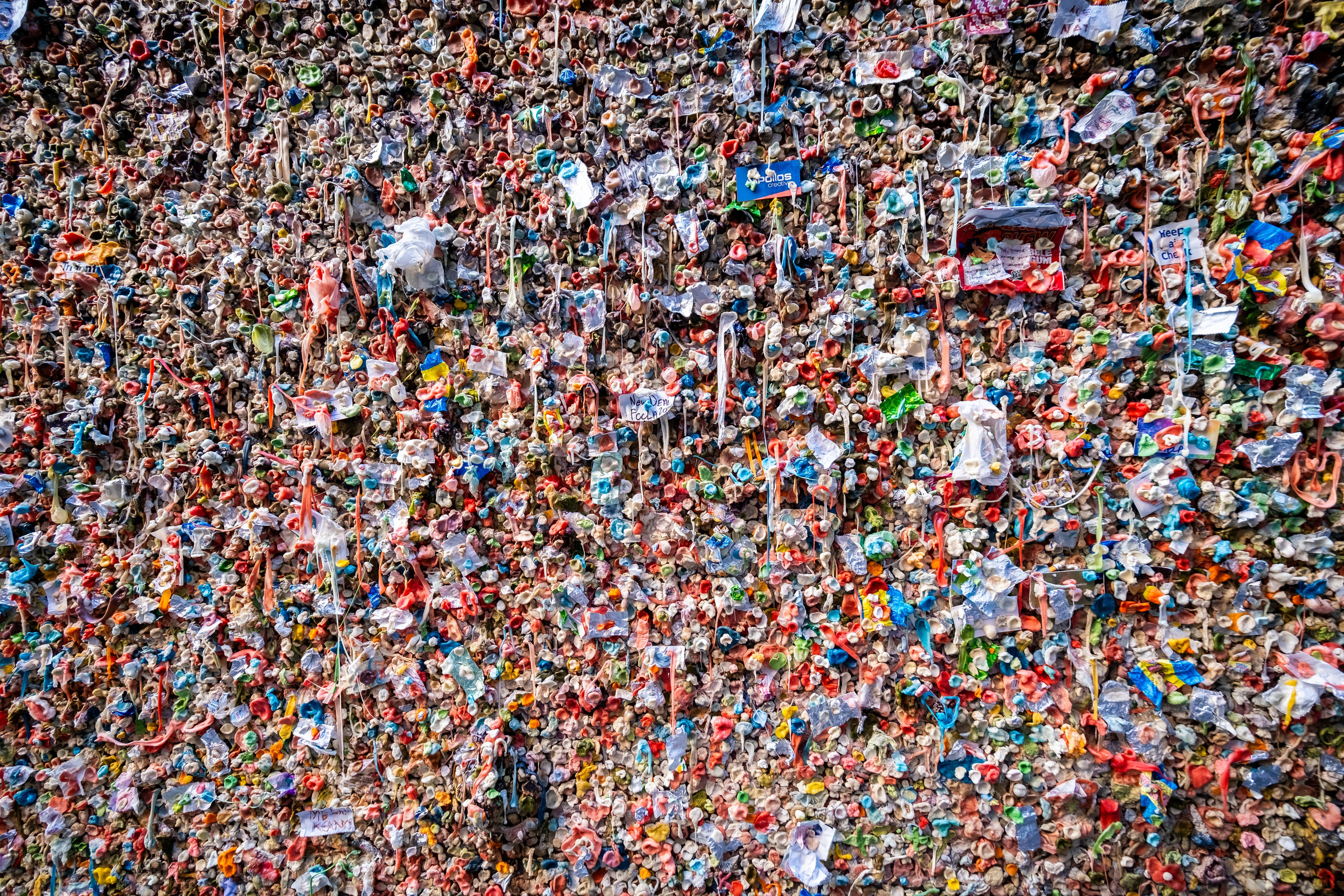 WASHINGTON / SEATTLE. Reportage concert portrait photography in the San Francisco Bay Area