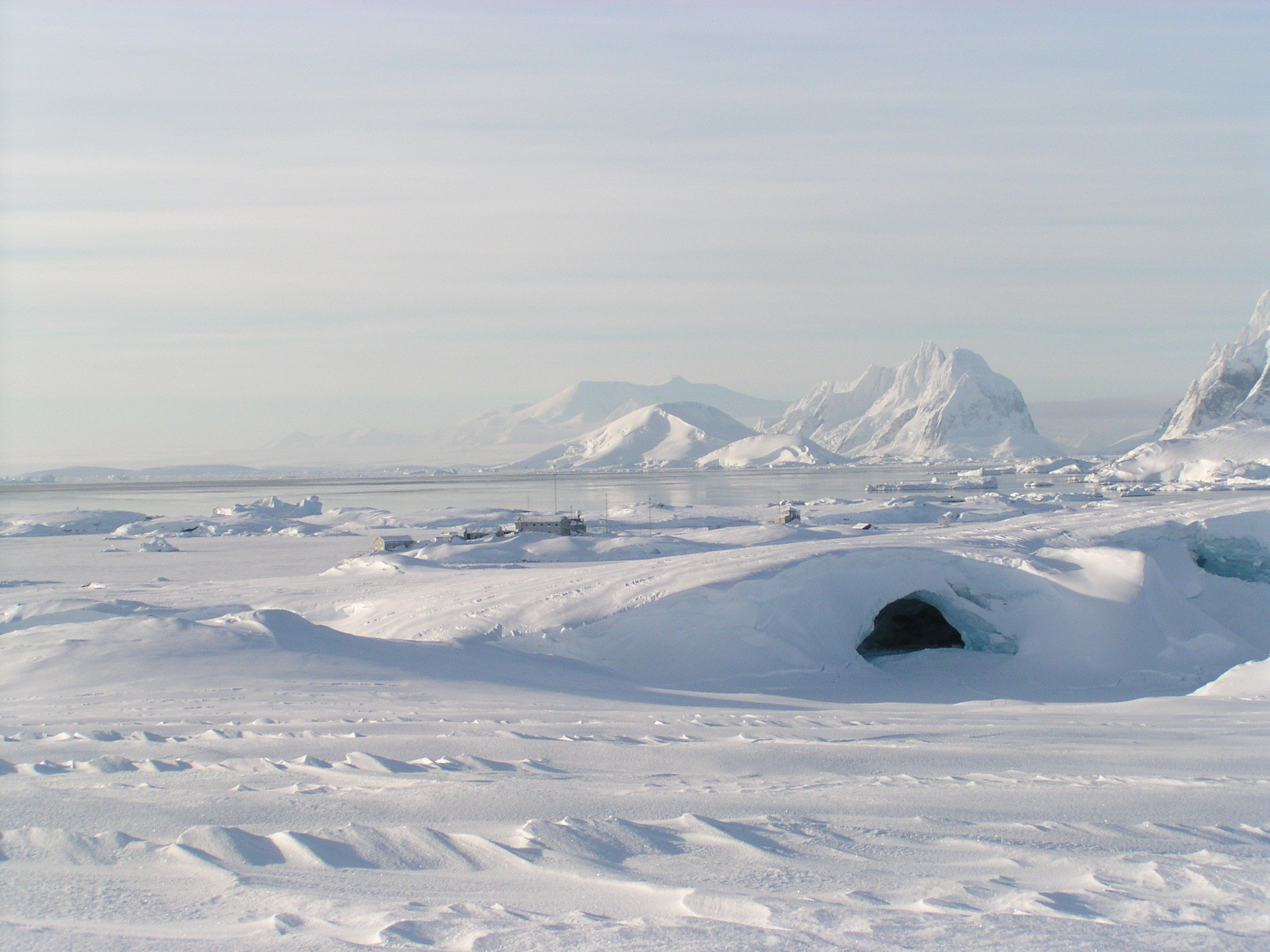 ANTARCTICA. Reportage concert portrait photography in the San Francisco Bay Area