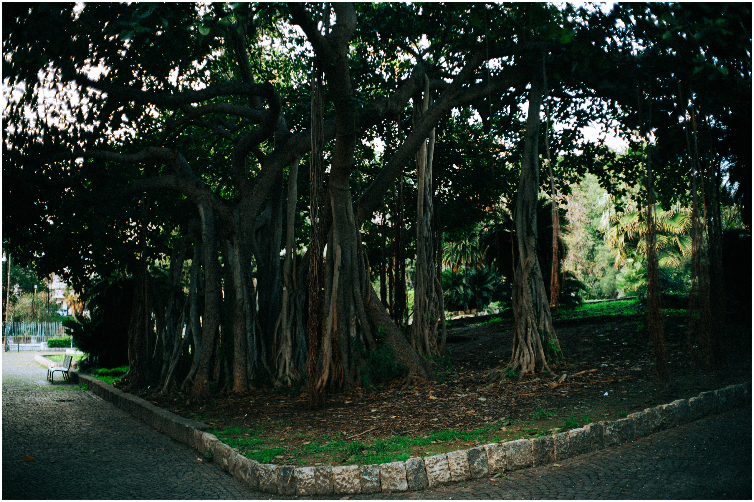 PALERMO. Photographer Inna Mendelson