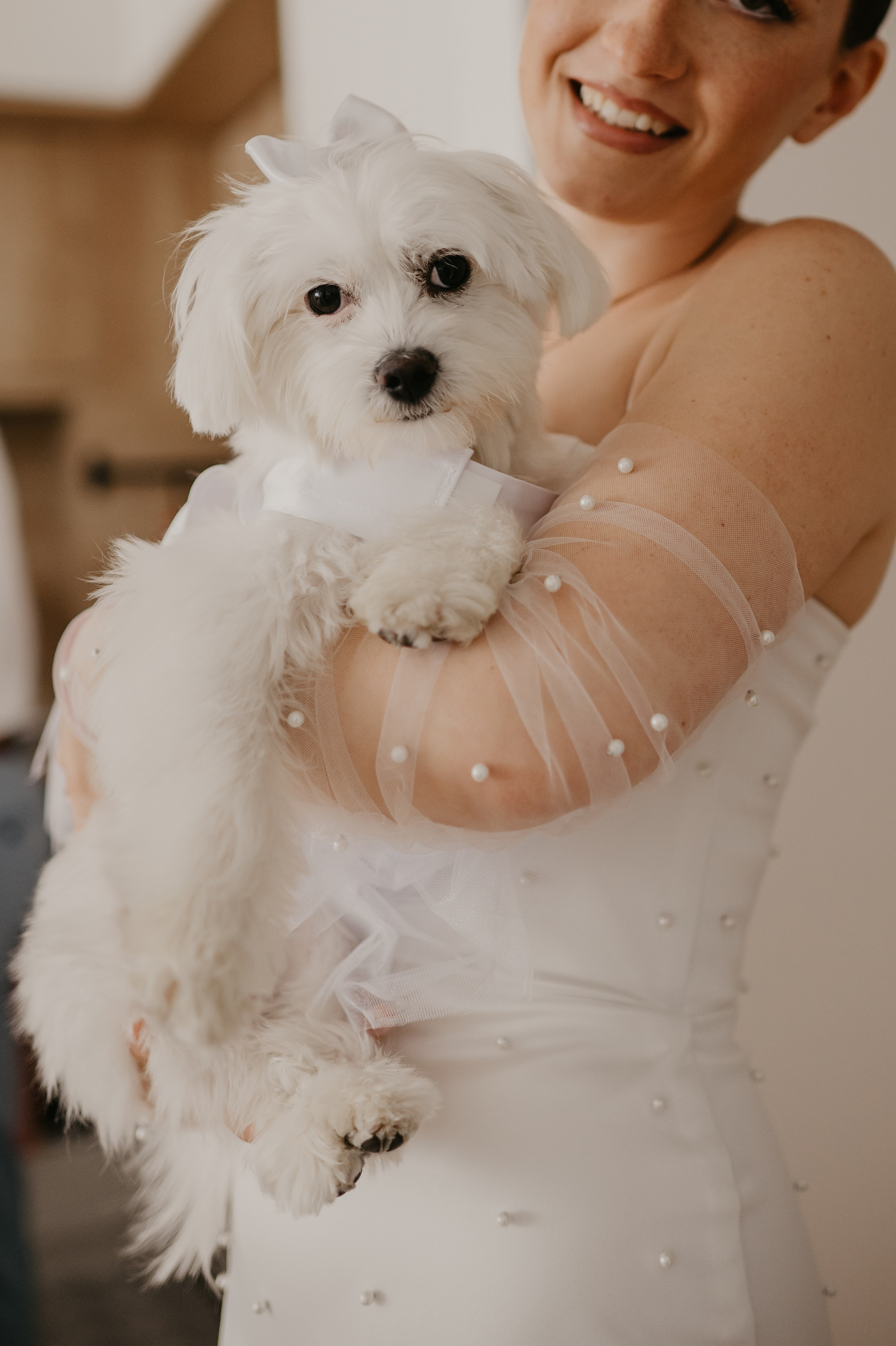 Tamara & Draško. Ana Sladojevic