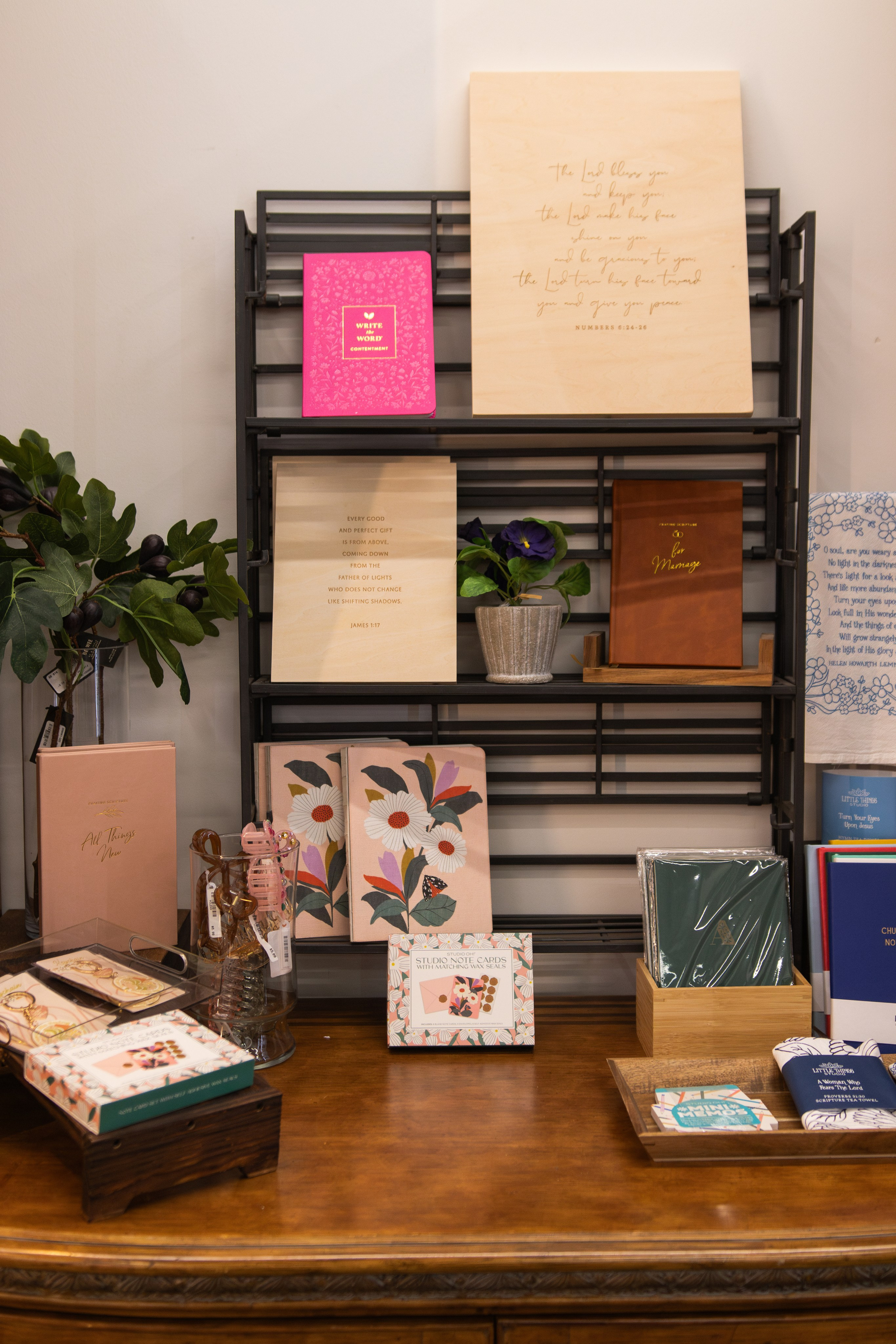 Painted Tree Boutiques Round Rock winter retail photoshoot collection