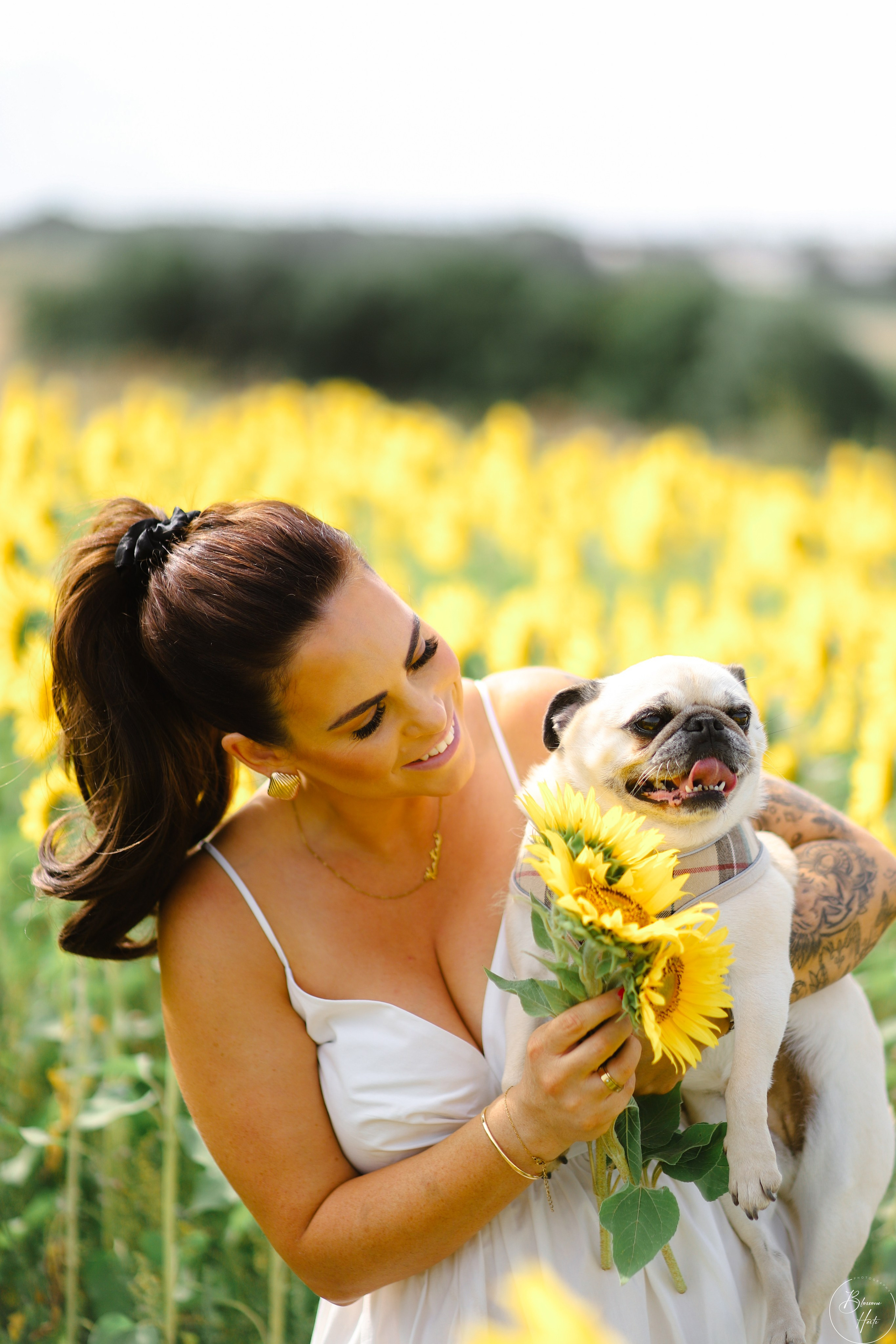 Sunflowers. Family & children’s photographer in Herts & West London Iryna Blair