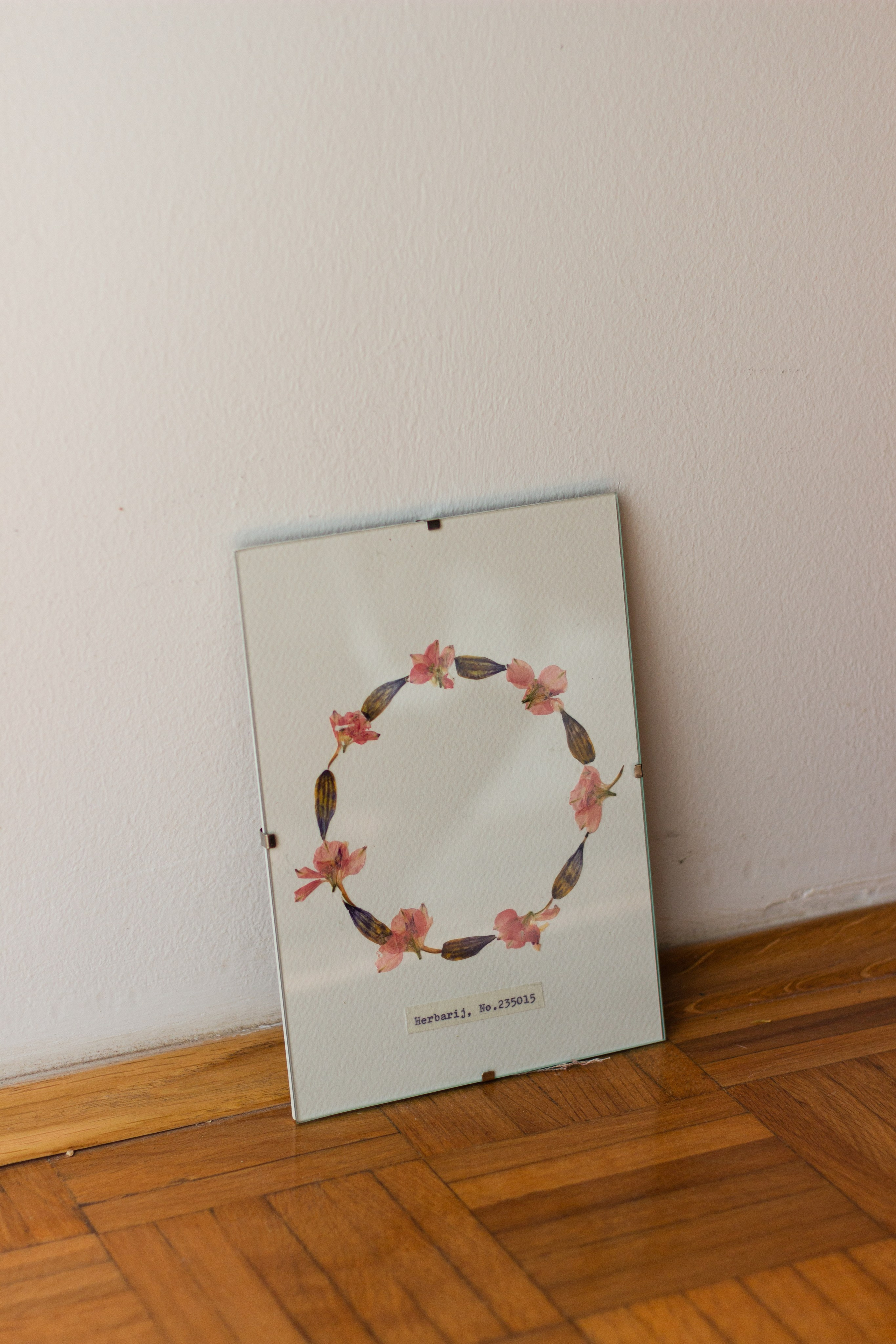 Herbarij, presa, okvir, slika, ručni rad, herbarium, art, umjetnost, home made, artistic