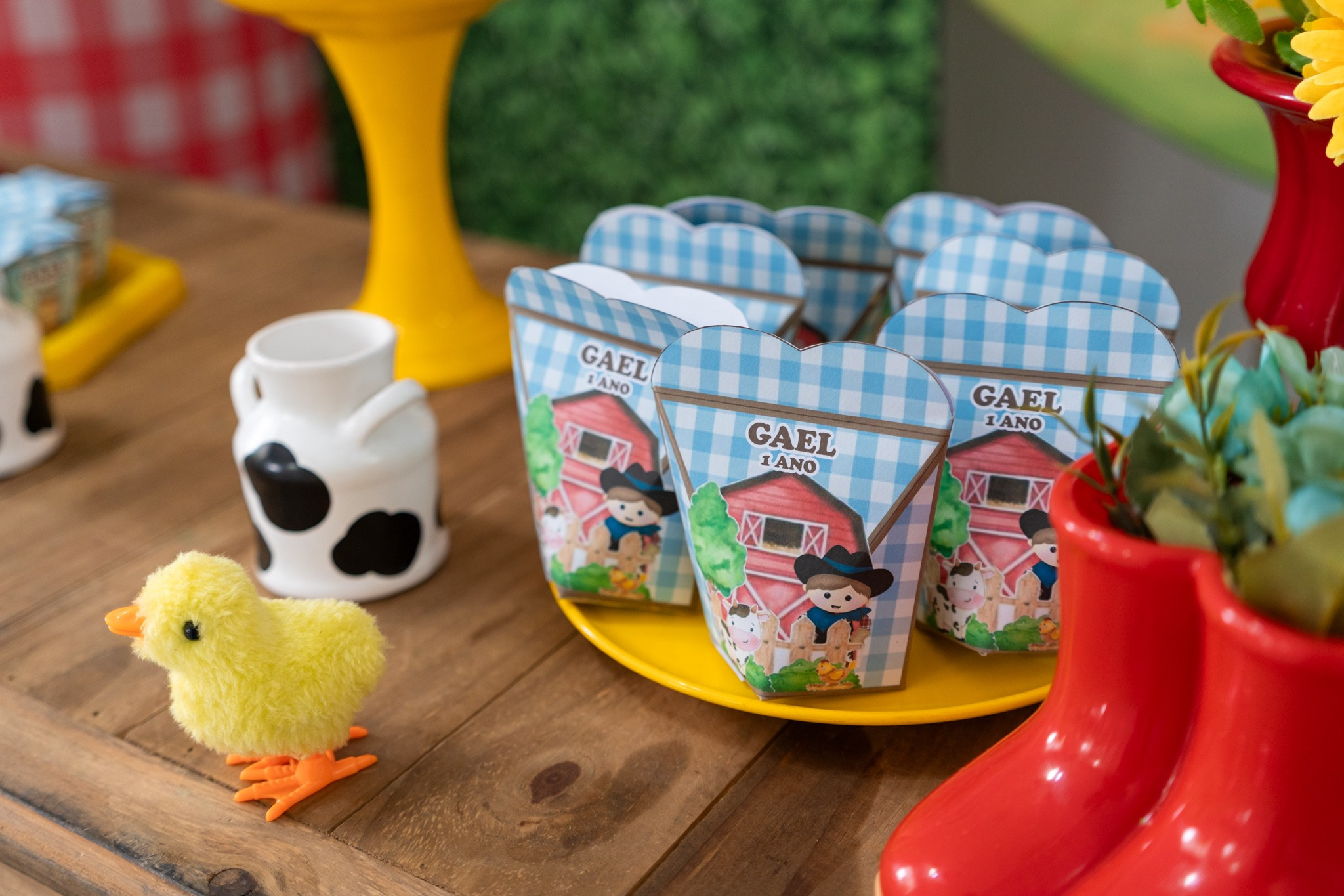 Gael 1 ano — 21/12/2024. Luiz Medeiros Produções