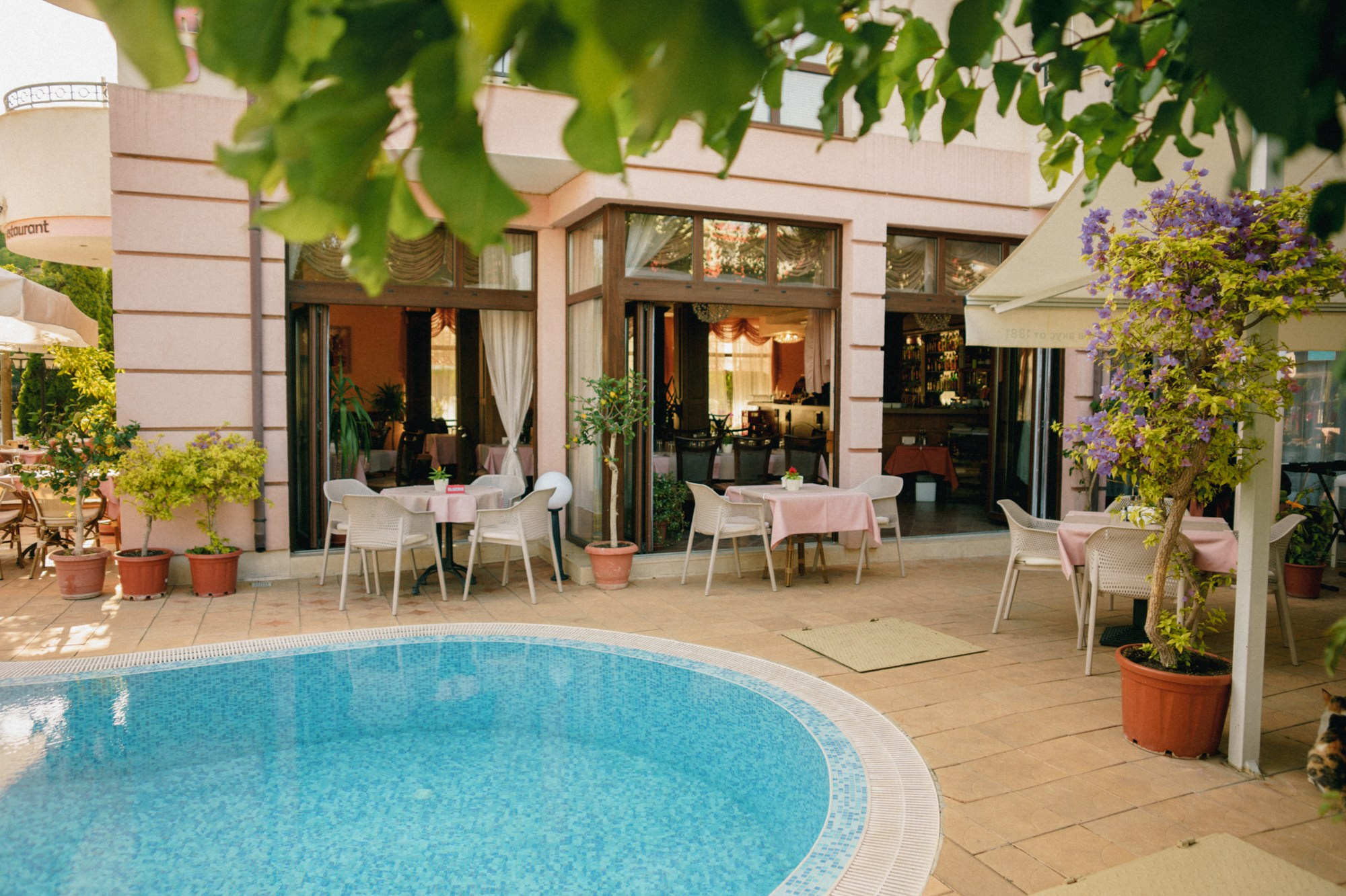 Bolero. Fotograf in Bulgarien Katerina Zubkova