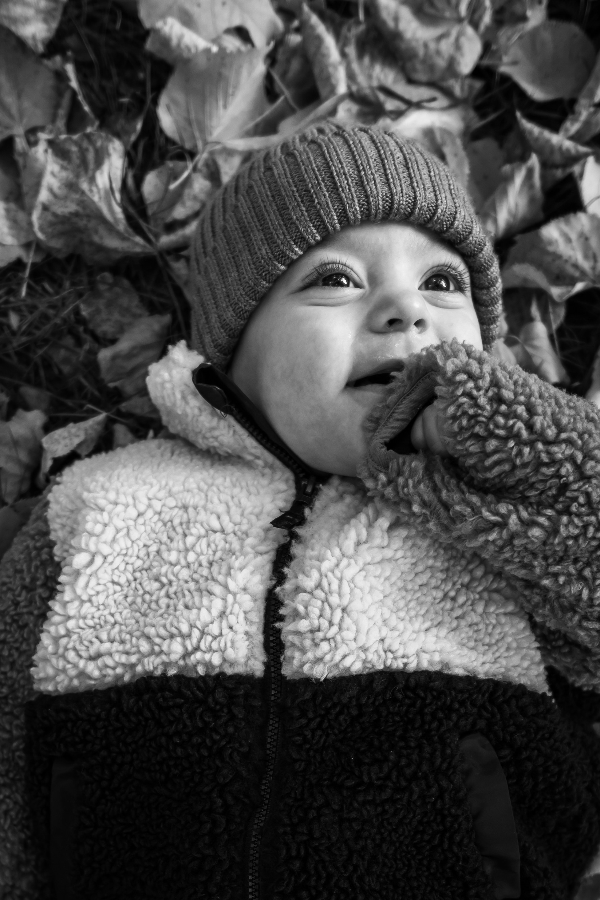 Alexandra și Ștefan. Adrian Visovan - Fotograf Iasi