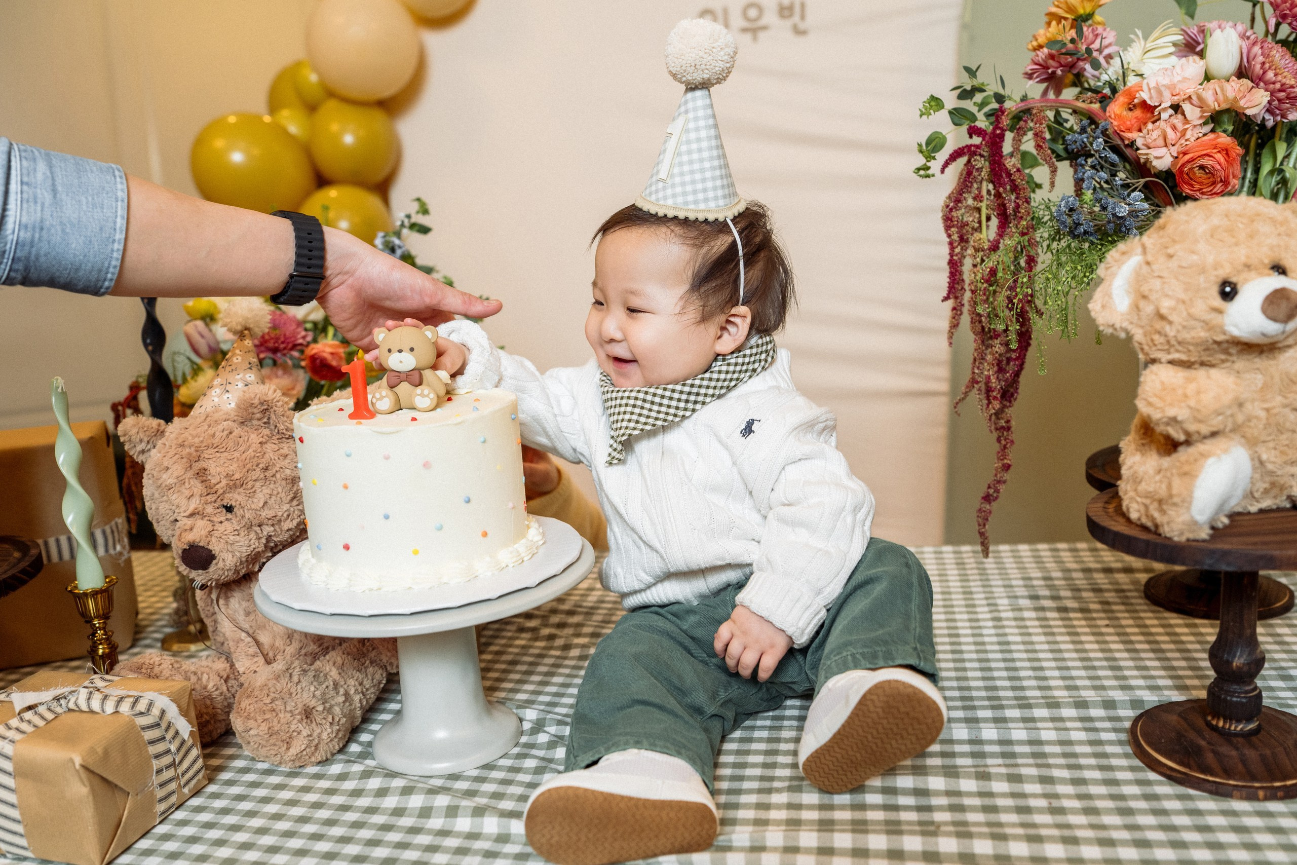 Jesse’s 1st birthday. Alisa Tant — Family and newborn photographer Bucks County, Montgomery county, Philadelphia, NJ