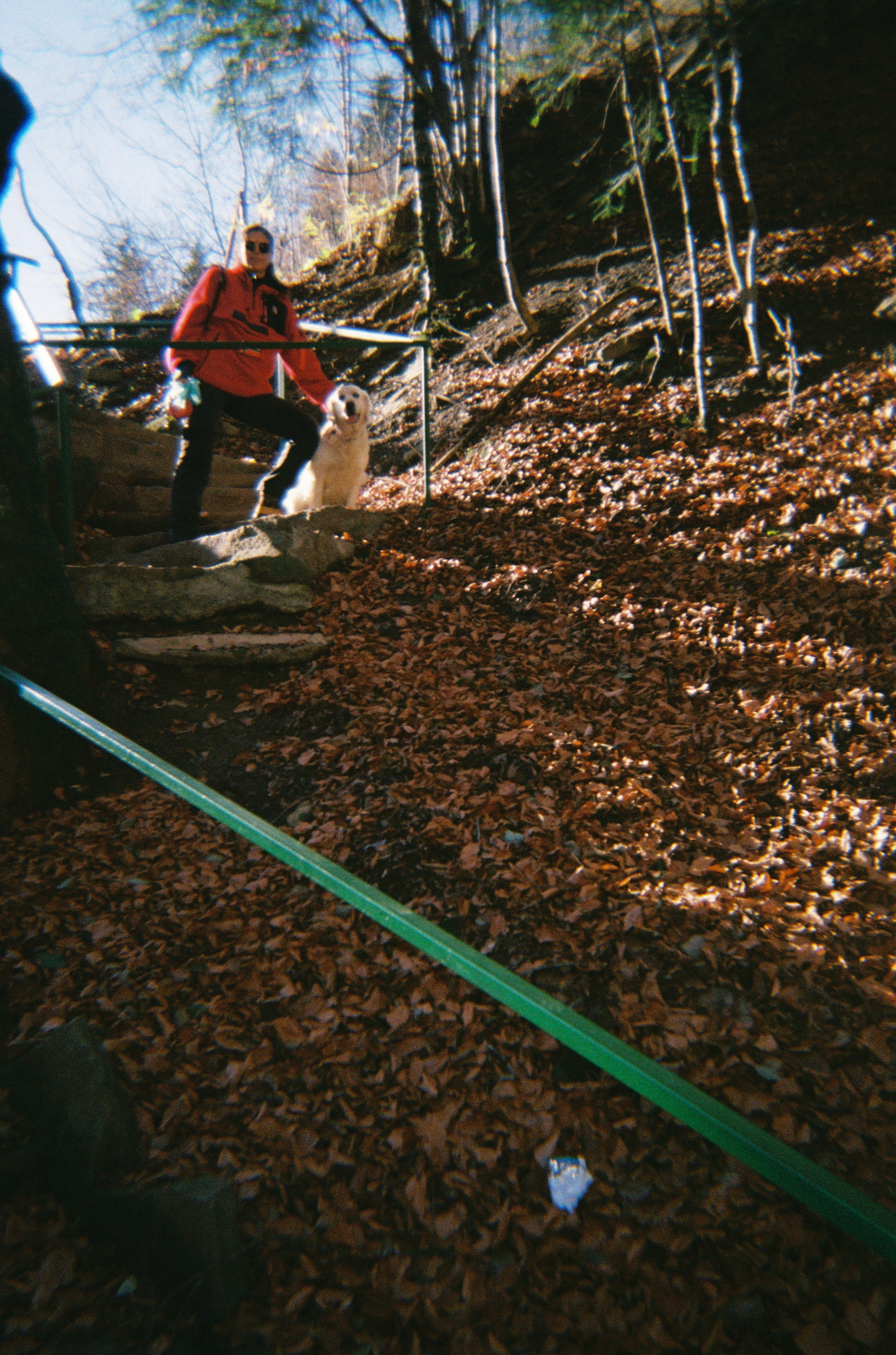 Teambuilding Digital Partners