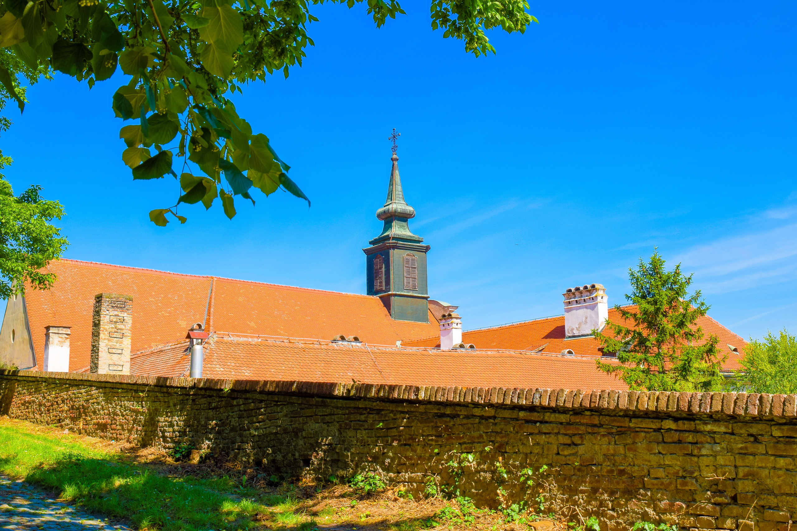 Петроварадин - галерија на продају. Викторија Федосеенко, фотограф у Србији