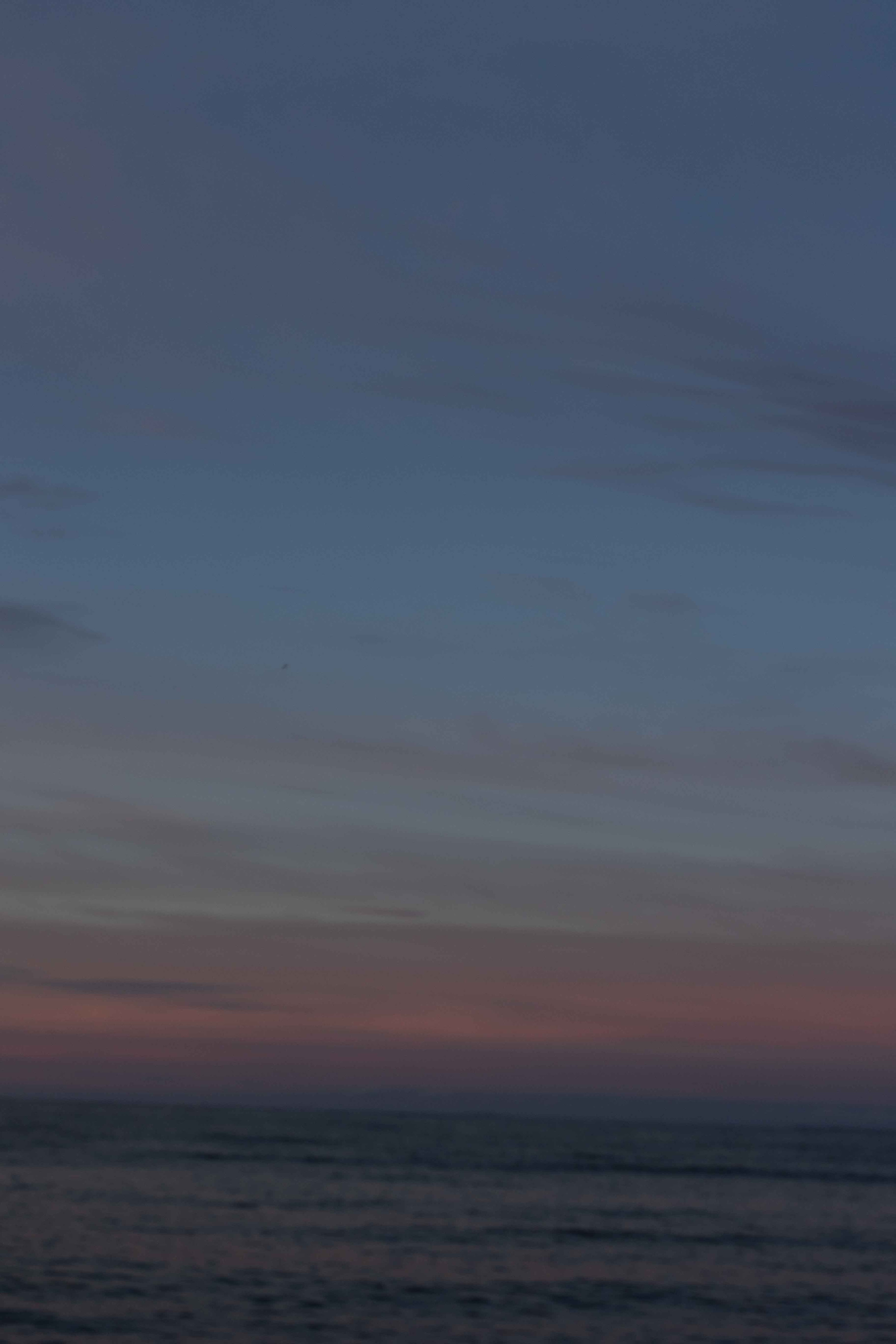 Kailni & Dylan. Wedding Photographer in Winnipeg — Cinematic & Timeless by Vitiuk Photography