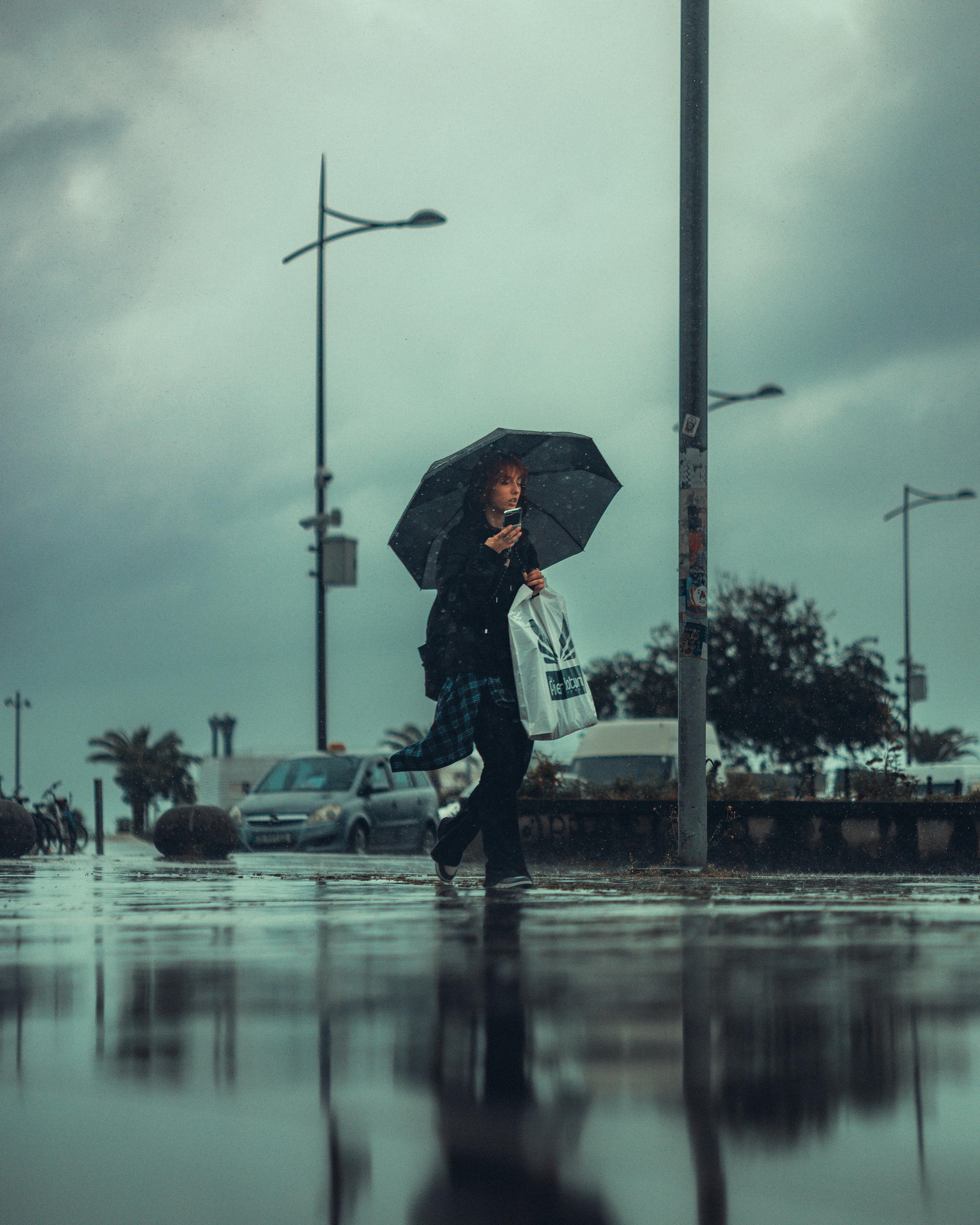 B A T U M I 2 0 2 5. Bspander