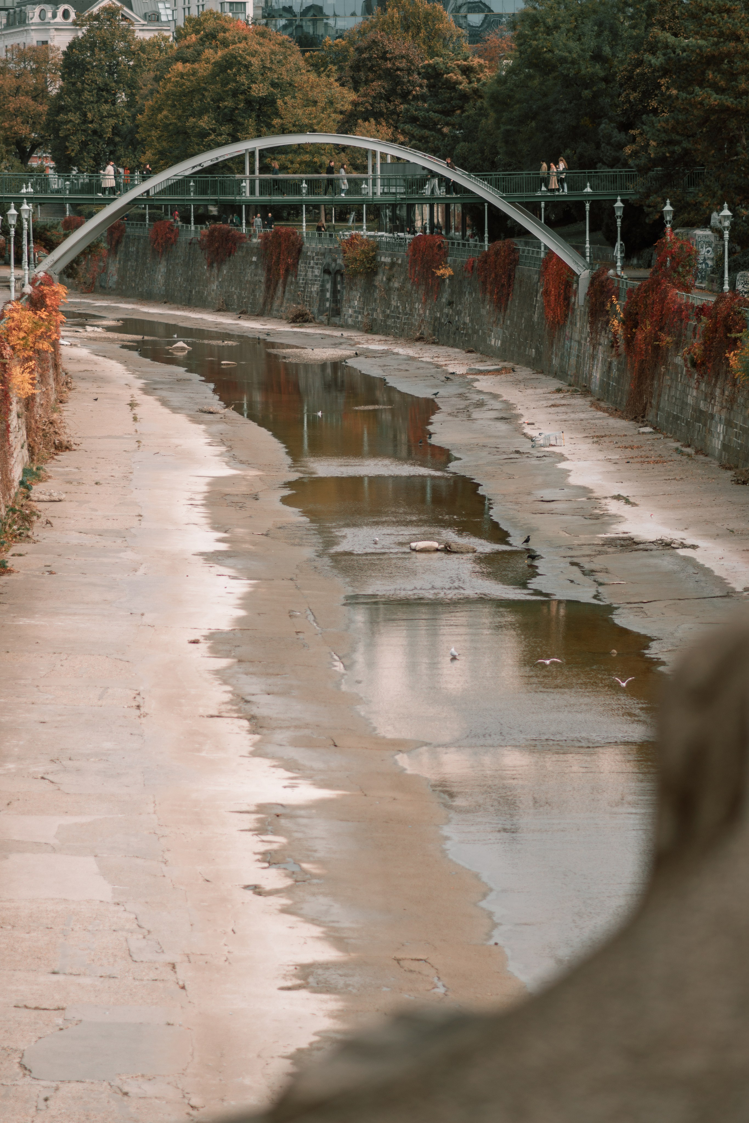 Осень. Семейный и детский фотограф