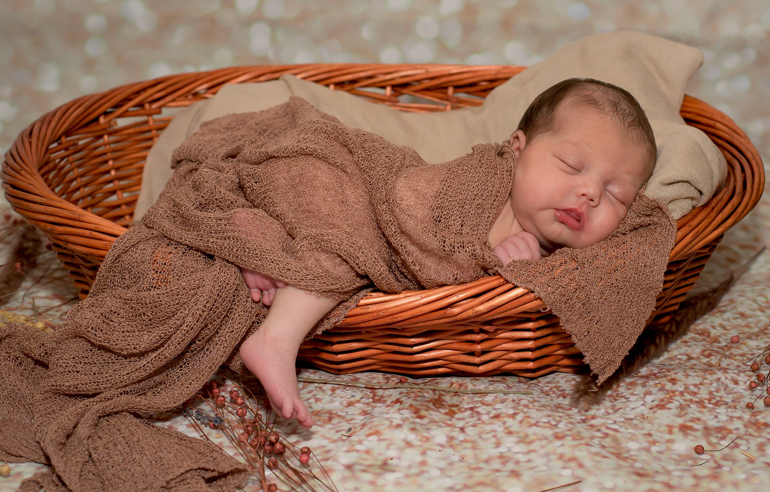 Family-Newborn. Klausenburg Photography