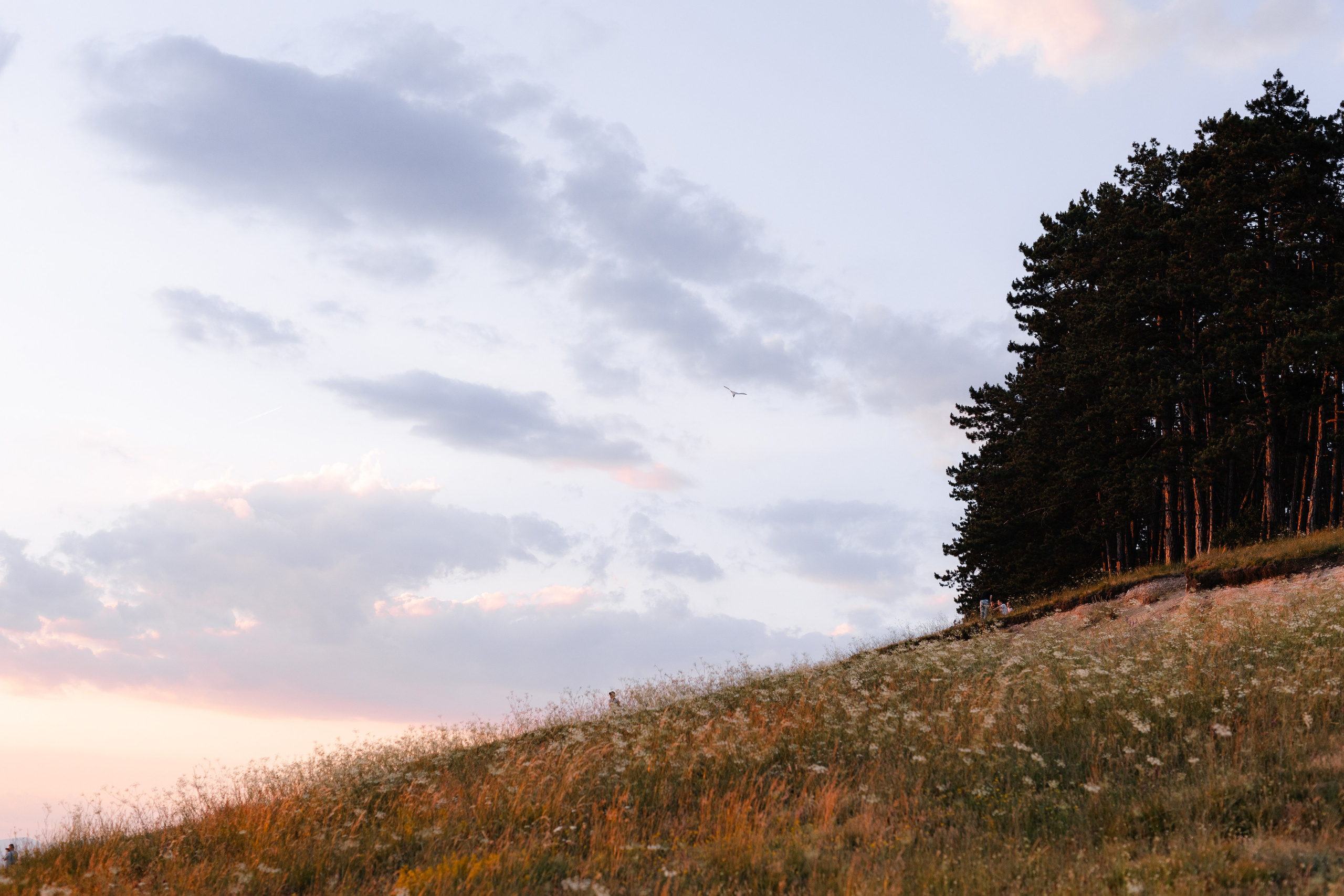 Laura — Portrait. Main