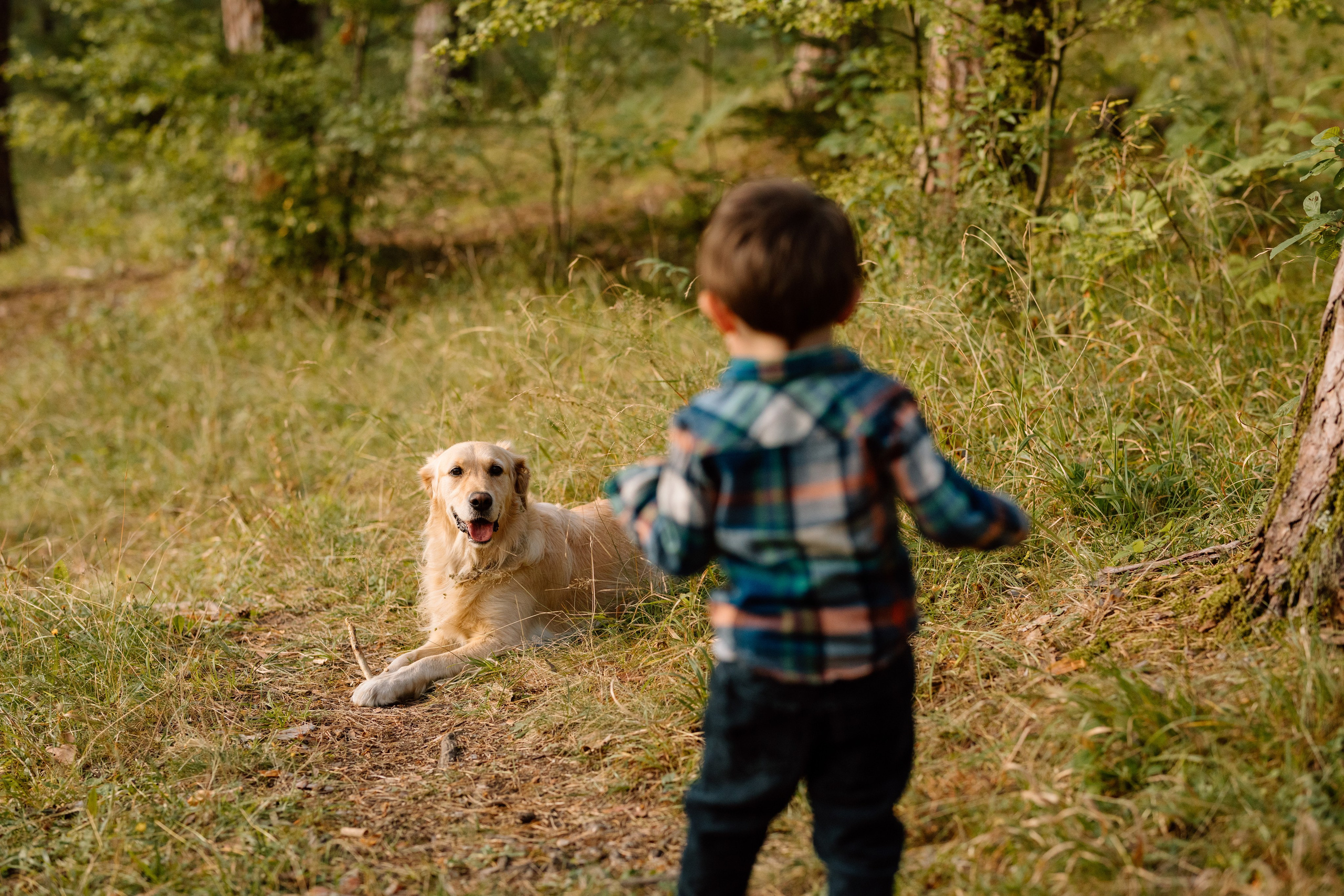 Sanziana, Daniel & Alexandru — Family. Main