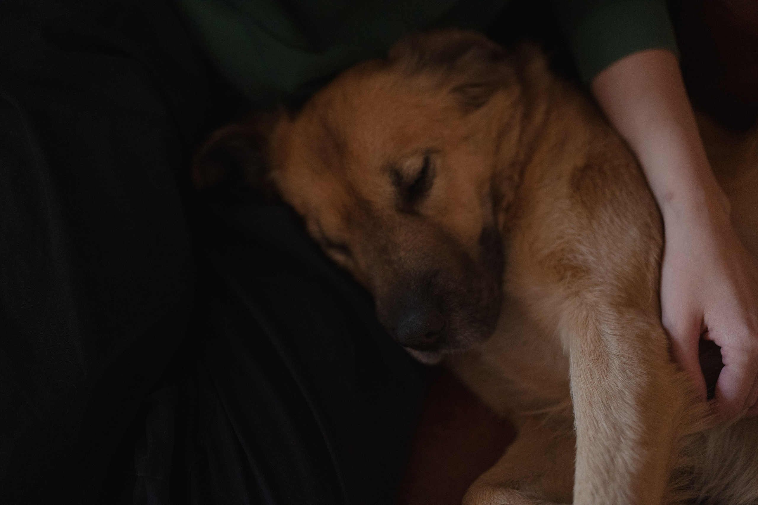 Alena, Vlad and their son Lev. Main