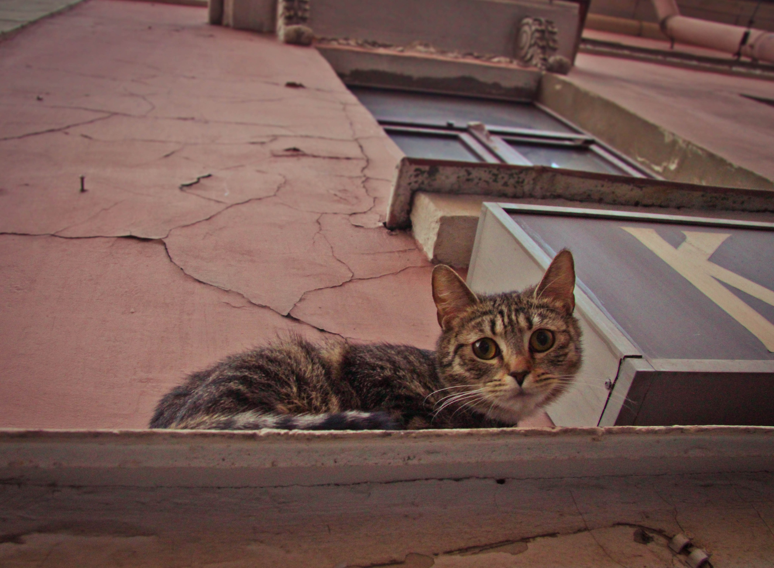 2013. Стрит-фотография, полная абсурда, идиотизма и красоты