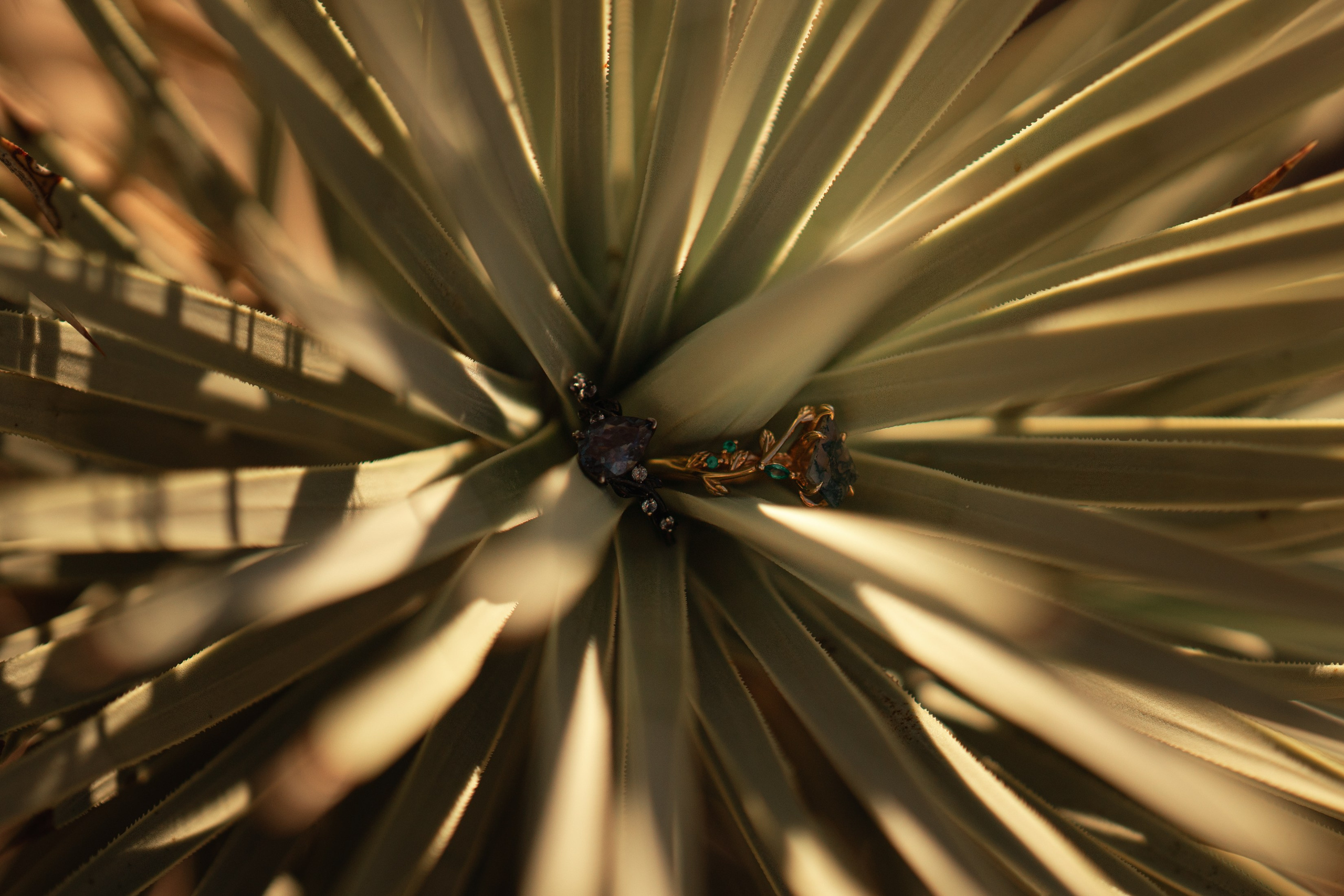 Liz&Fatima. Wedding & elopement photographer Viktoriya Kravtsov. Las Vegas