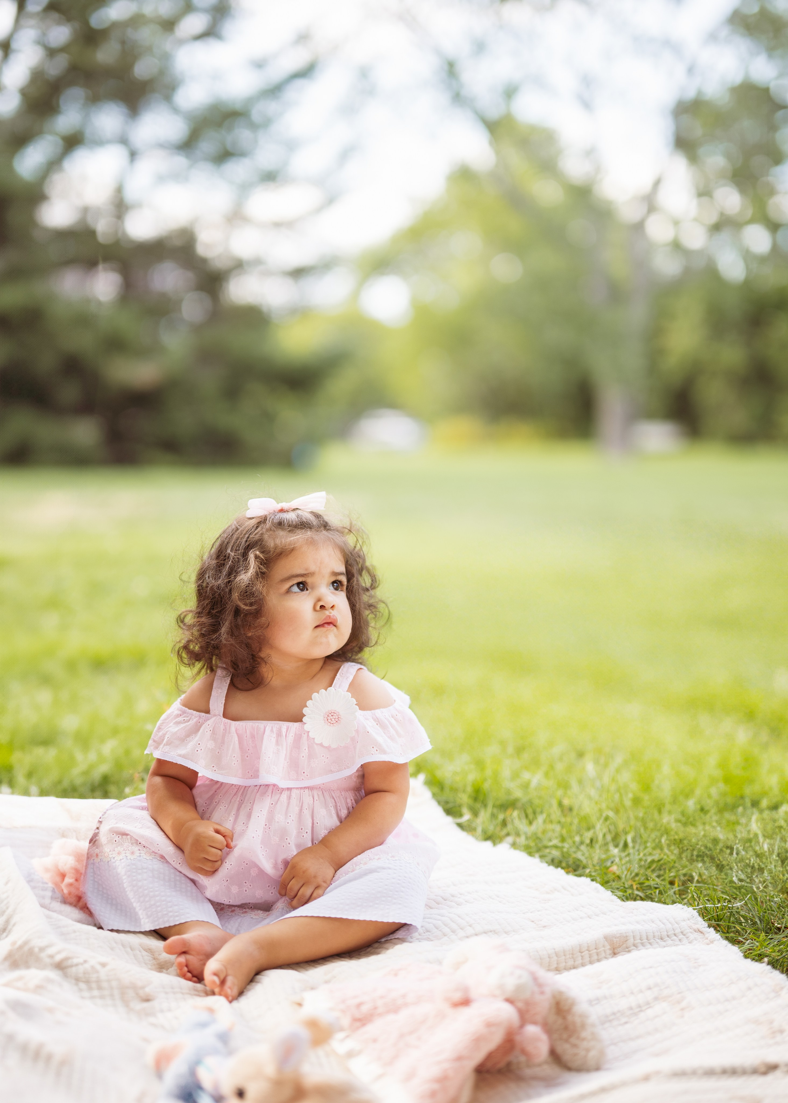 Chicago family photoshoot. Photographer in Chicago