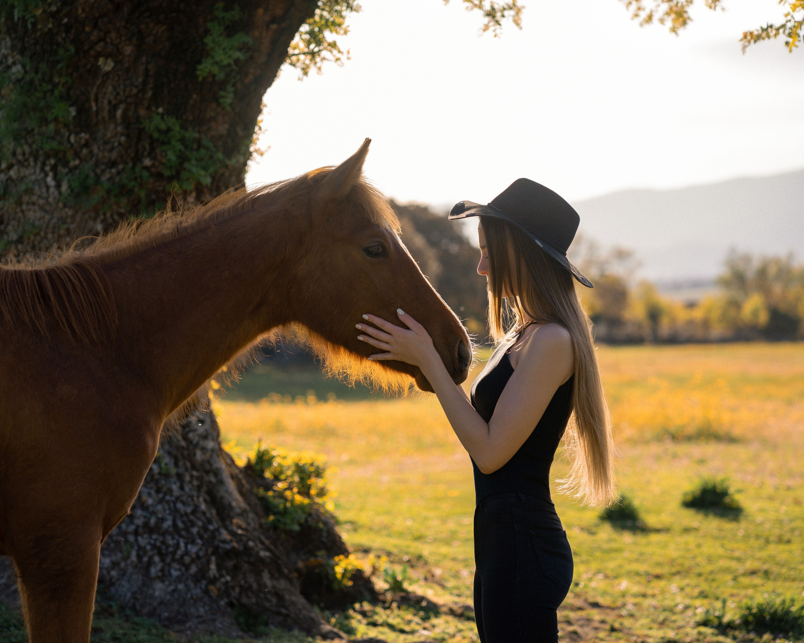  Девушка обнимает лошадь в живописном месте за городом.