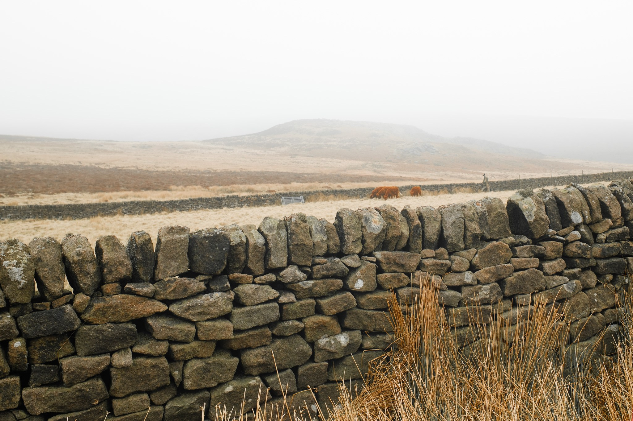 Peak District 2024. Cal Takes Photos