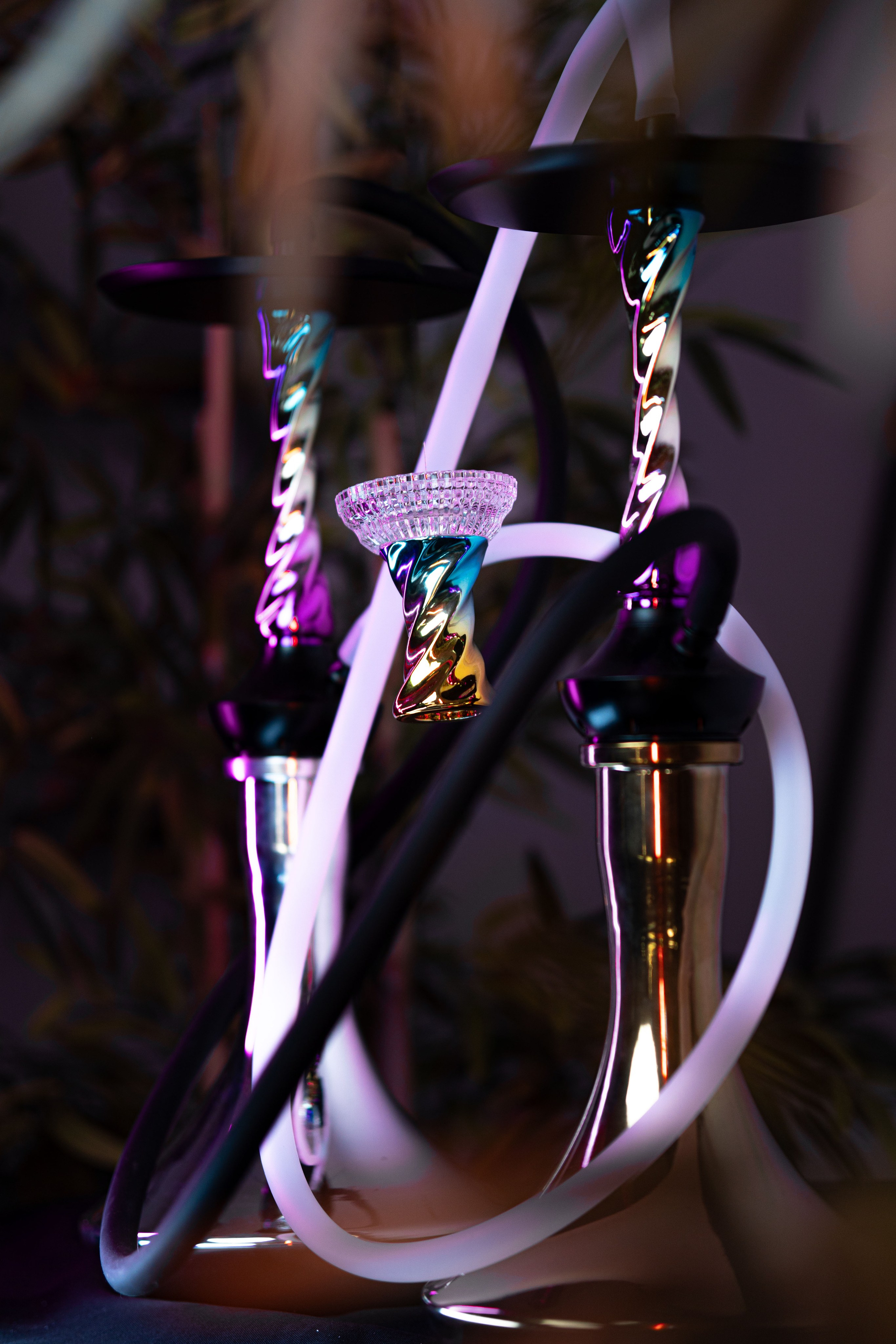 Cachimbas. Baby Beast