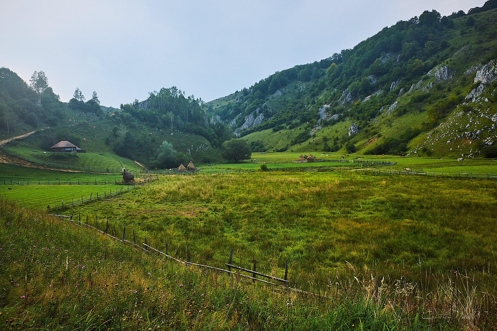 Fundătura Ponorului, jud. Humedoara. Pagina principală