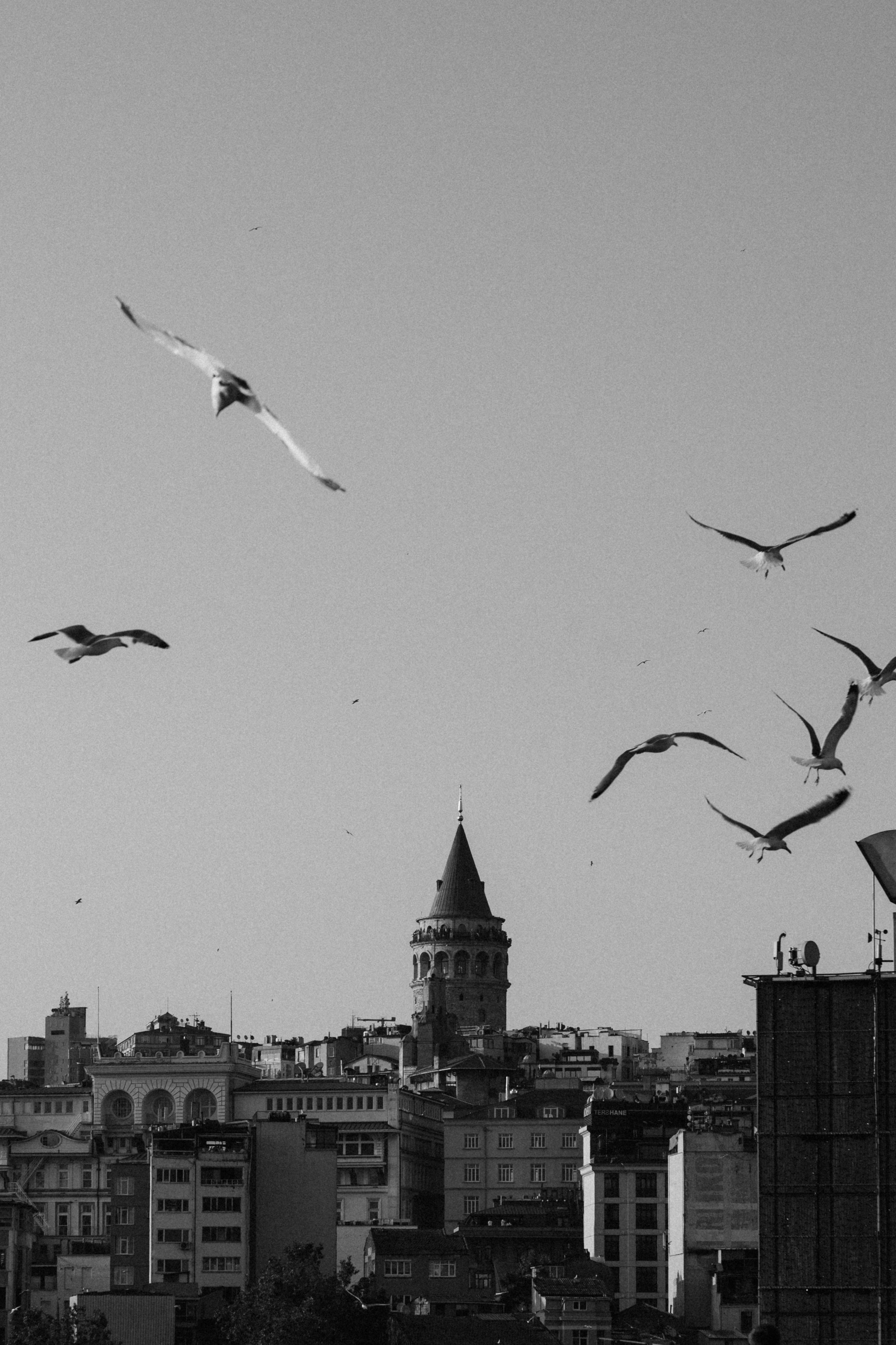 Стамбул. Фотопрогулки в Стамбуле