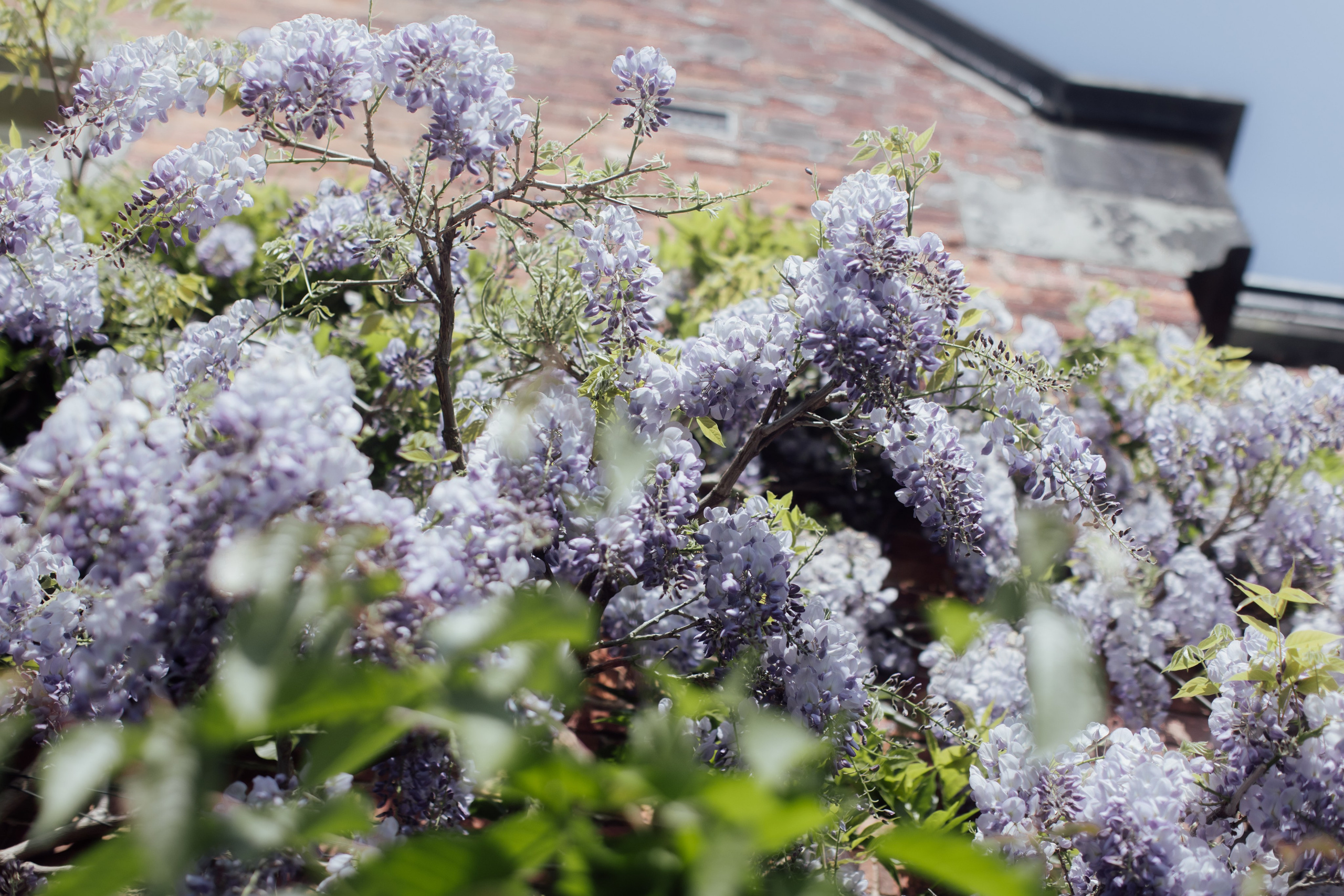 Arley Hall & Gardens, Northwich. 2025. Timeless Wedding & Events Photography. Based in London, working across Europe