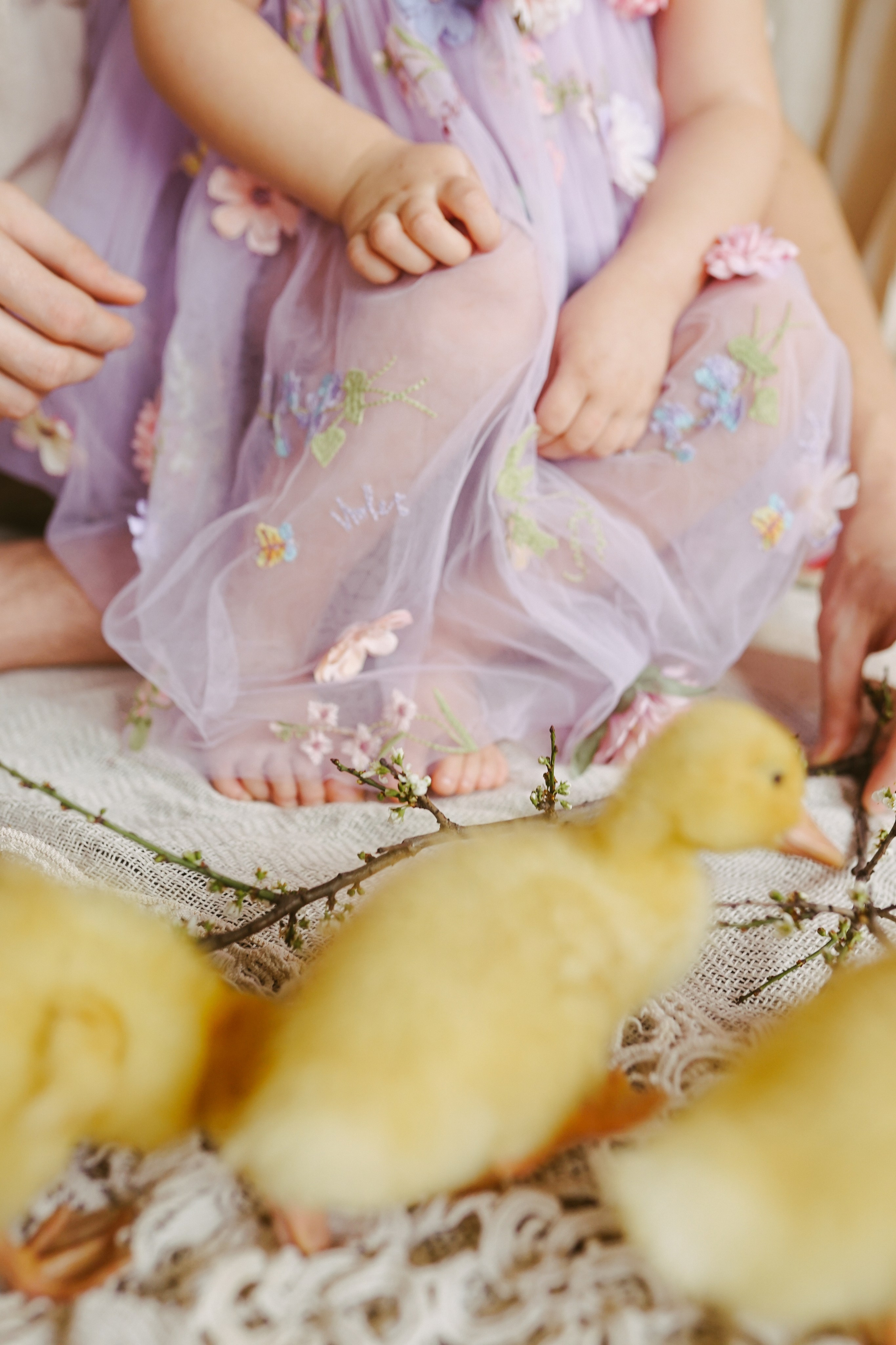 Ședințe Foto de Paște Brașov: Gălbenuș | Mădălina Beda. Madalina Beda- Artist vizual, fotograf, doula la nastere, consultant babywearing Brasov si in toata tara