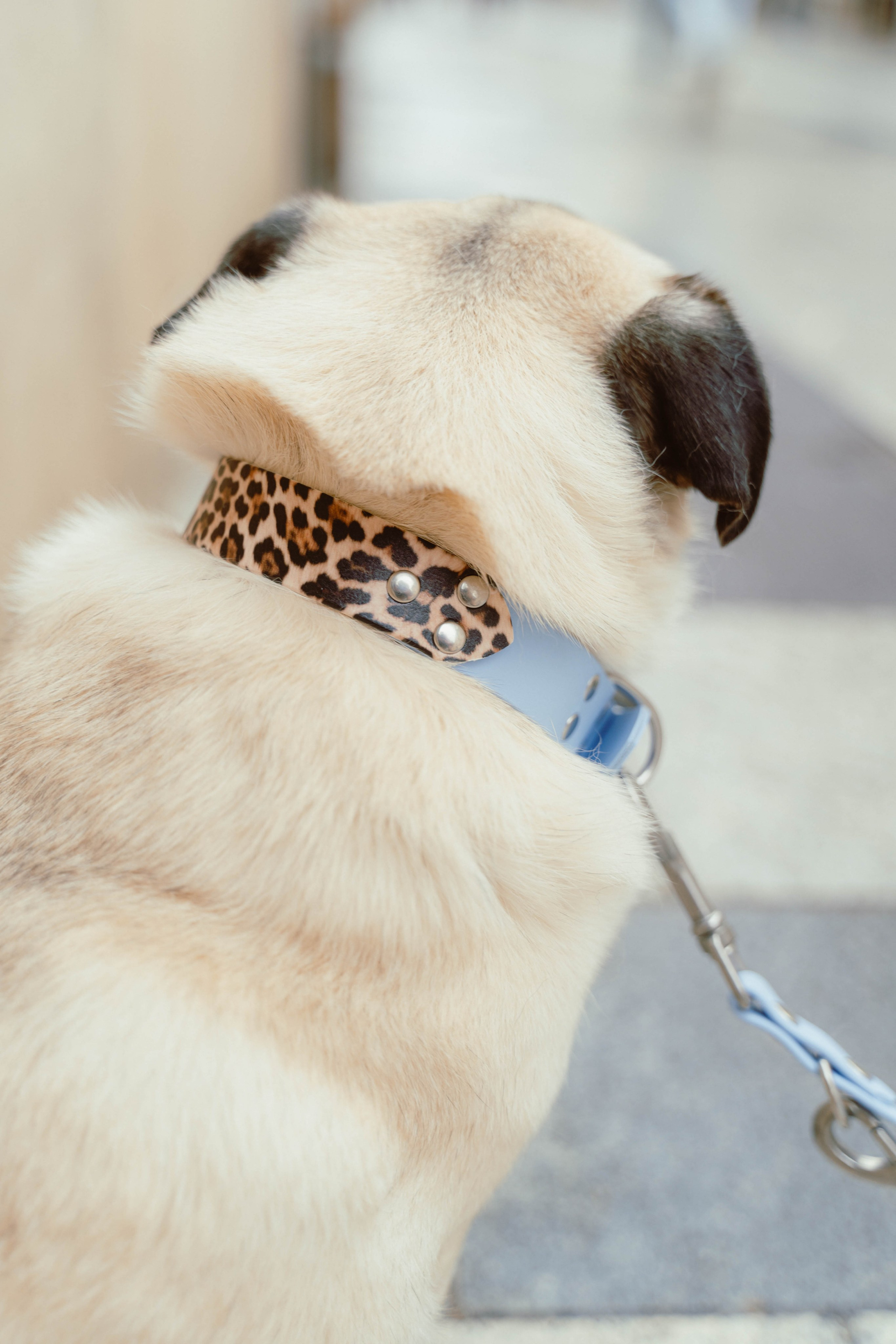 Rosa Lopez. Weeding photographer / event / portrait