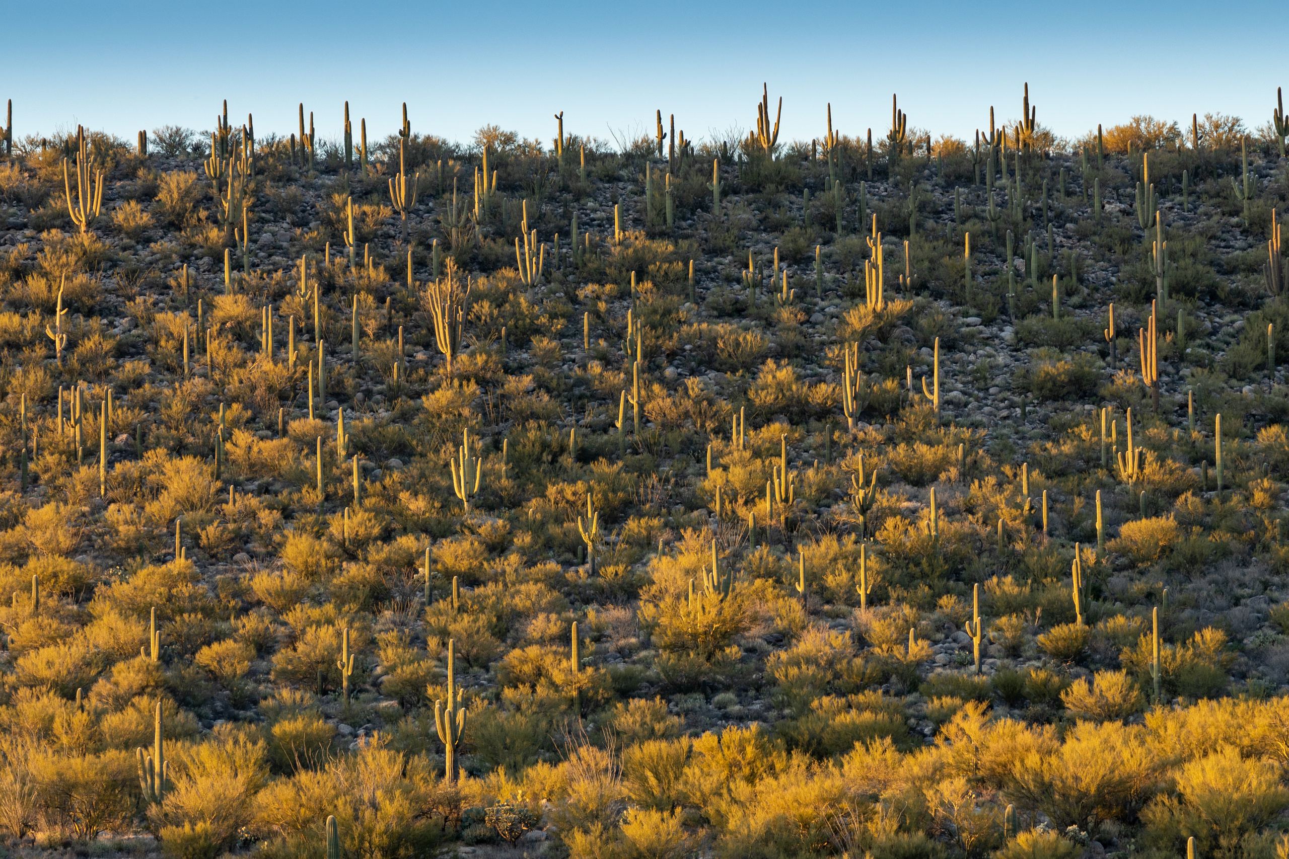 Портфолио. Olga Serebryannaya Travel Photography