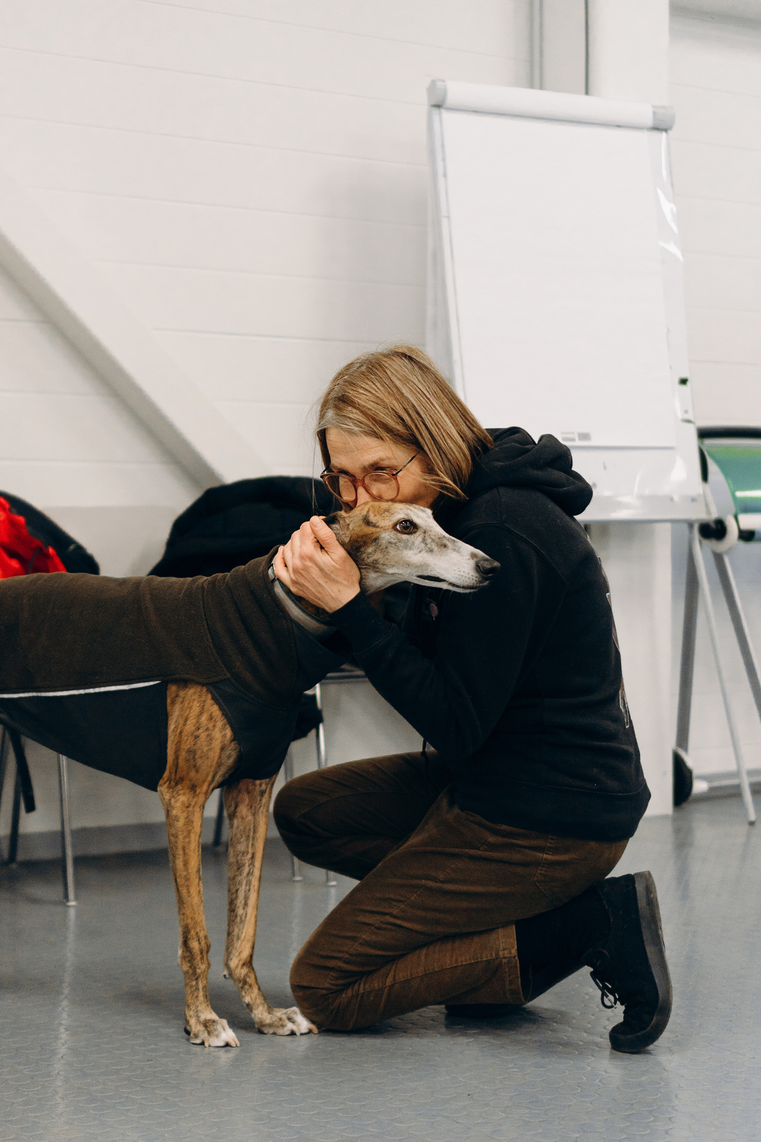 GalgoTreff / PetCity Rannamõisa, 13 apr. 2025. Kat Laisaar — Pet photographer in Tallinn
