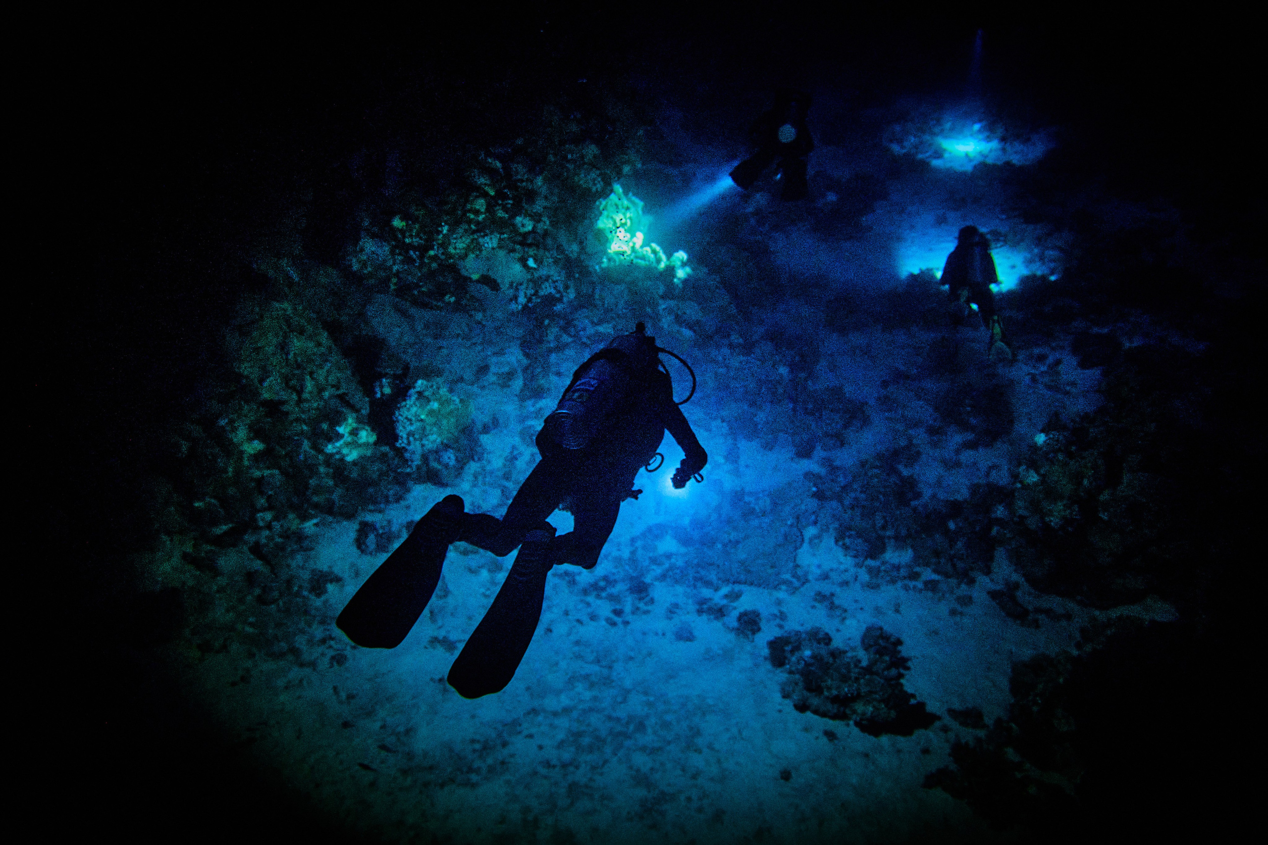 2023-11 - Diving Safari Deep South Egypt. Andriej Szypilow — Photography & Videography