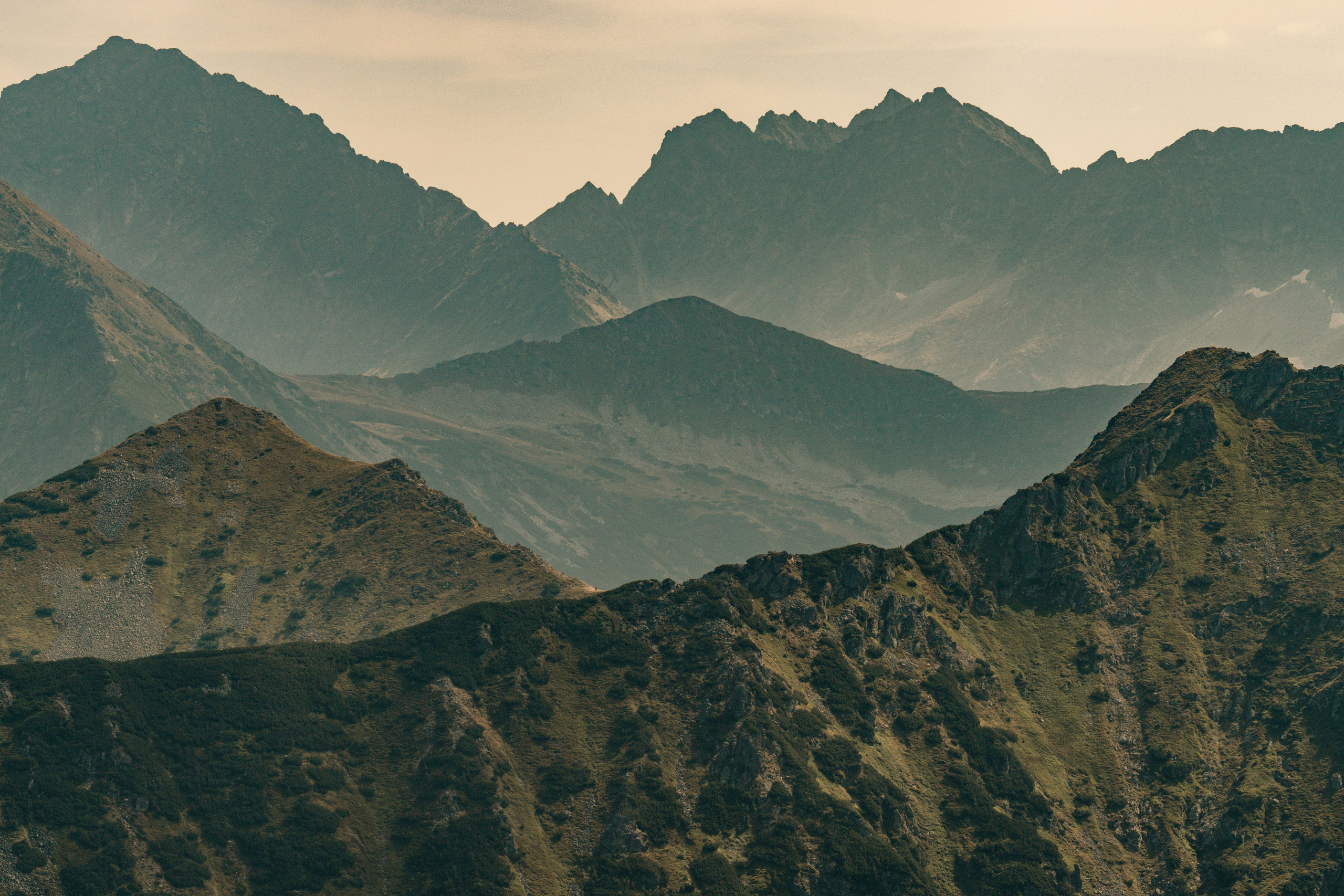 Landscape. Fotograf Poznan