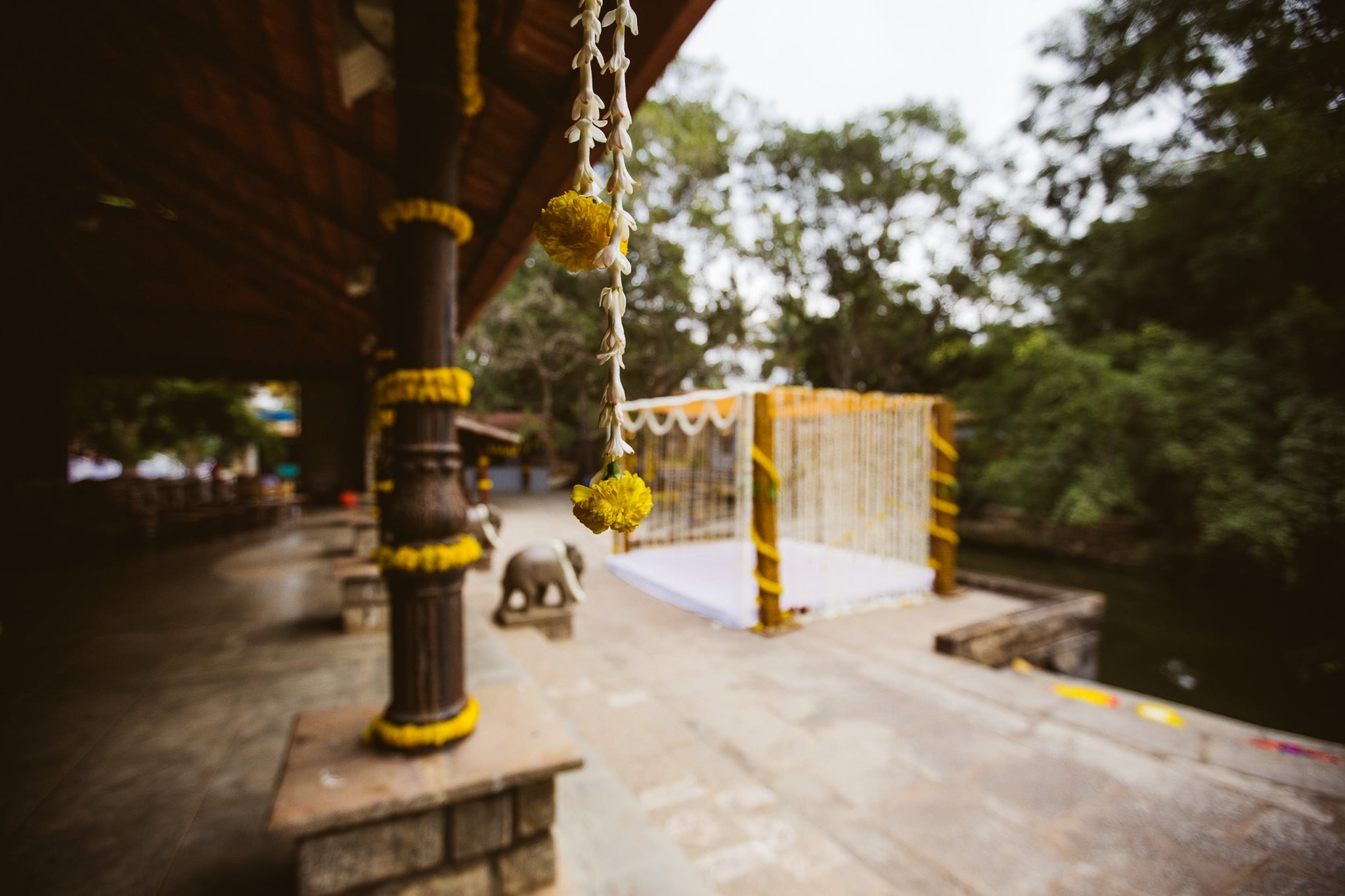 An intimate destination wedding at The Tamarind Tree, J.P Nagar, Bangalore