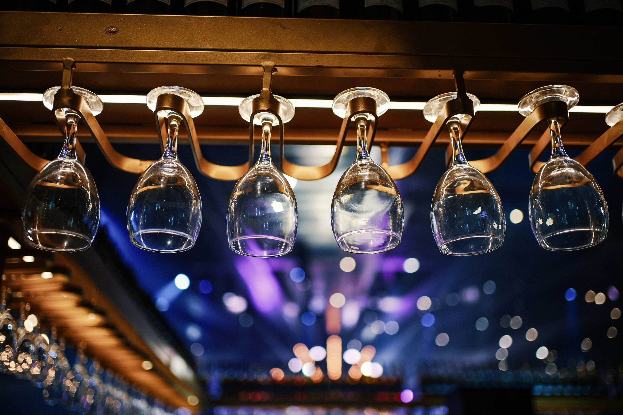 Dana and Idan. Dmitry Gorodetsky Event Photographer