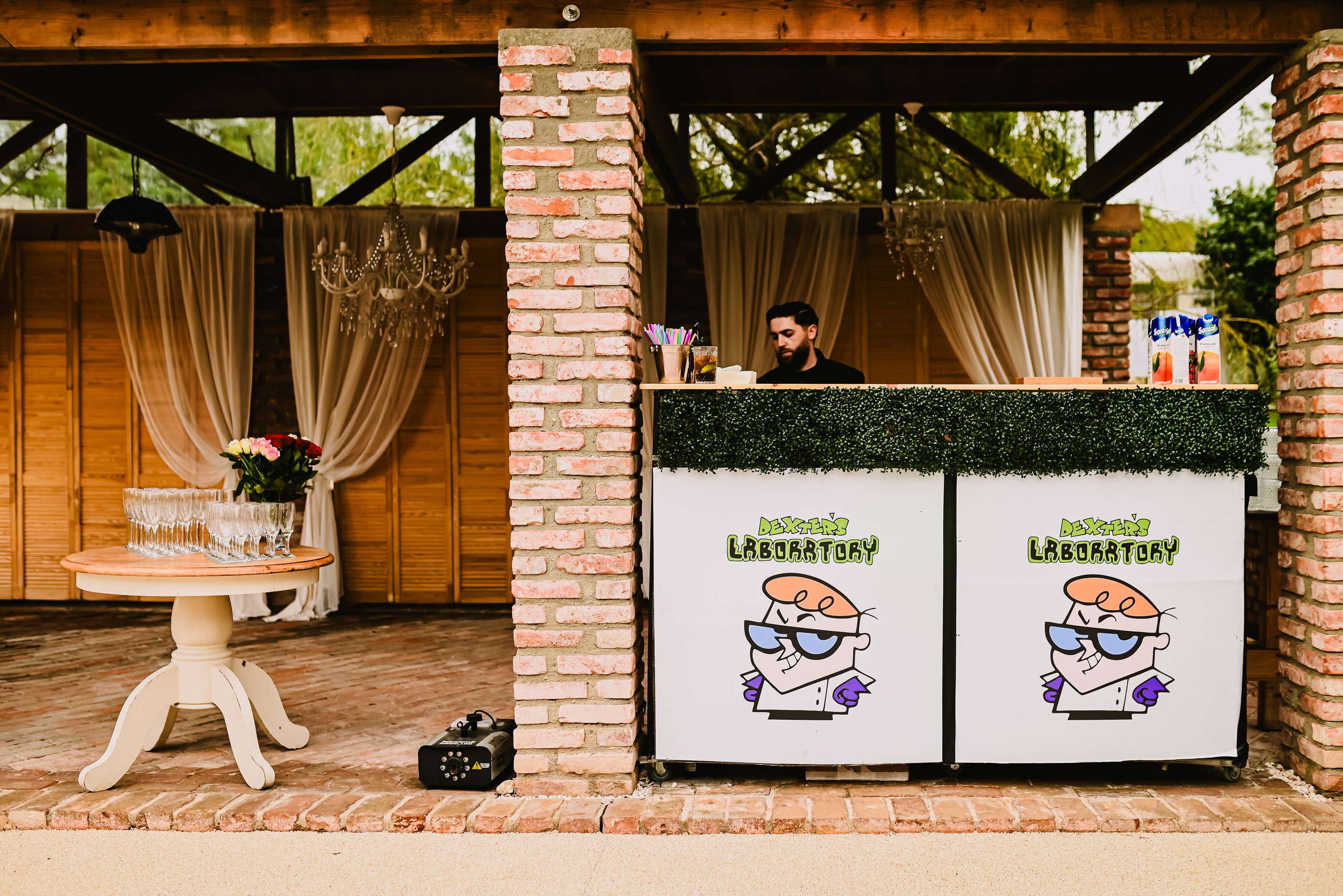 Gender reveal Alina & stefan. Giani Maftei