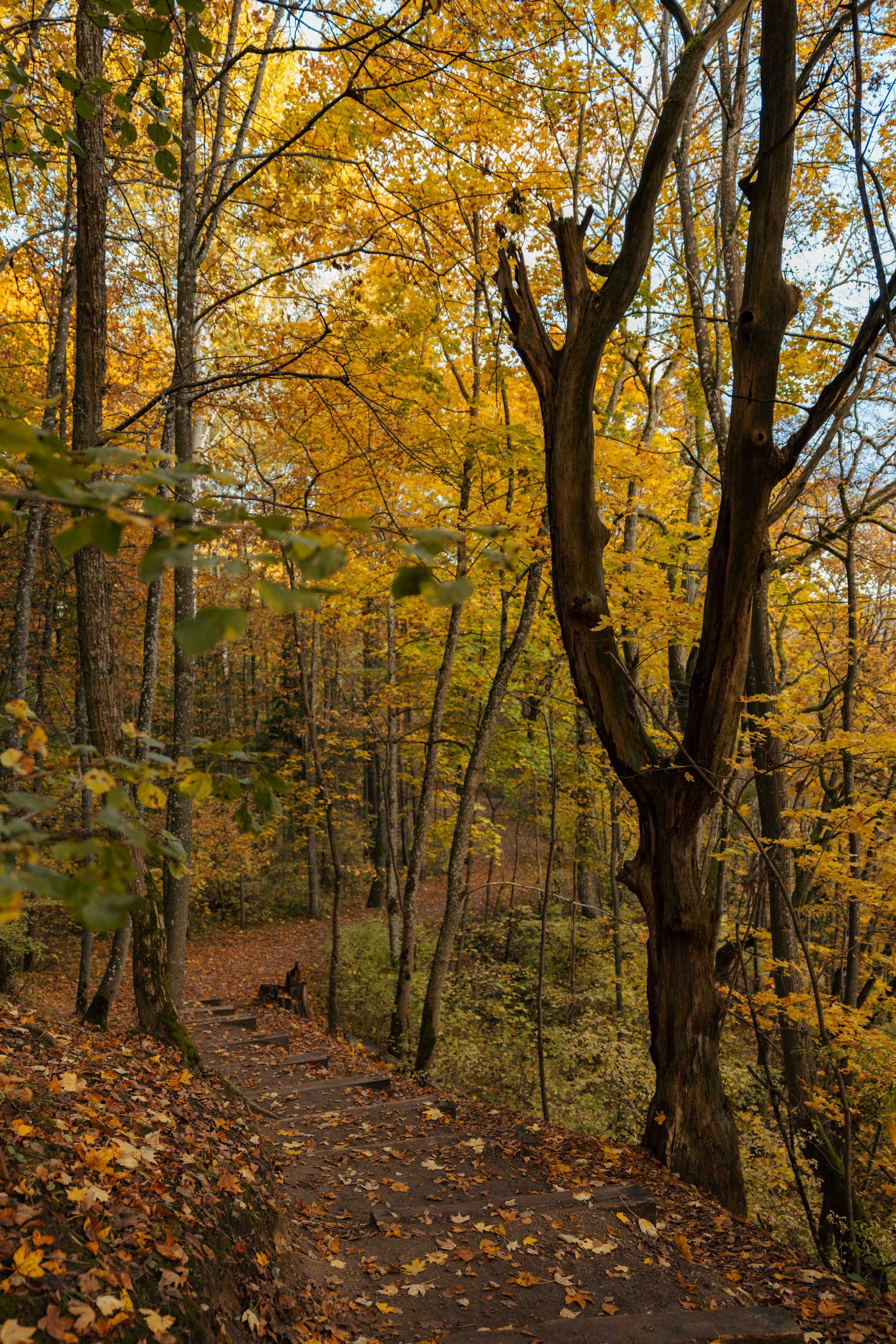 Best Autumn Photoshoot Locations in Vilnius: Top Spots to Capture the Fall Colors. Framed by Evelina | Destination Wedding Photographer from Lithuania | Europe