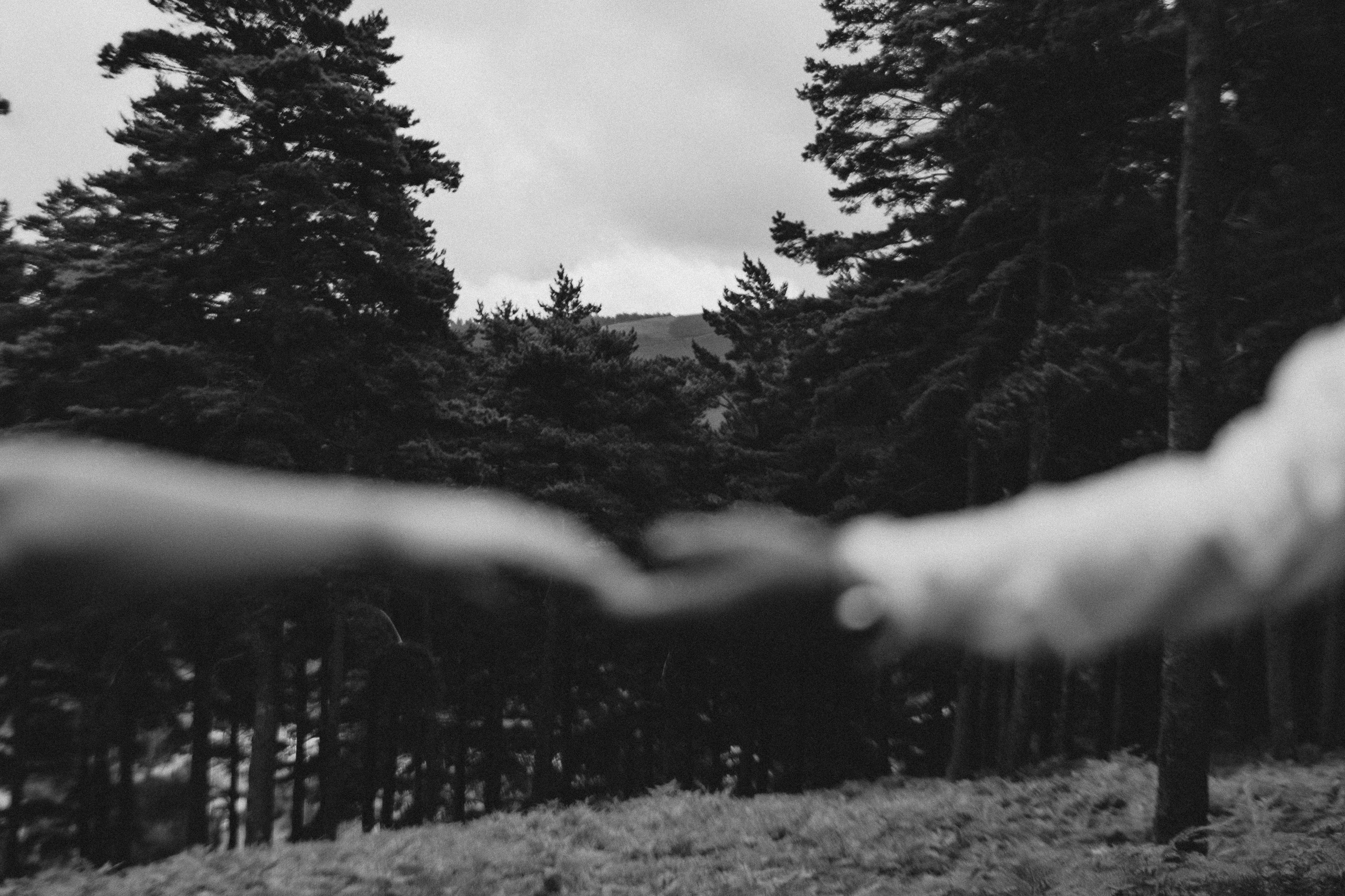 Daniela & Rui. Photographe de mariage et de famille à Braga — Alexandra Mieres Photography